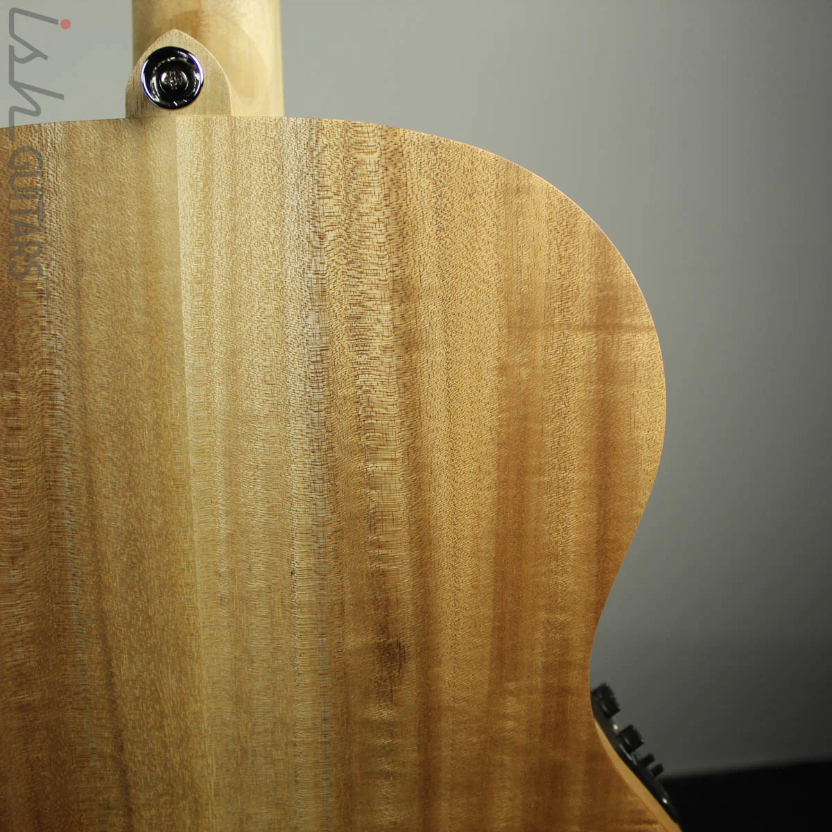 Cole Clark Angel ANIE-BM Bunya Top with Queensland Maple Back and Sides - Image 10