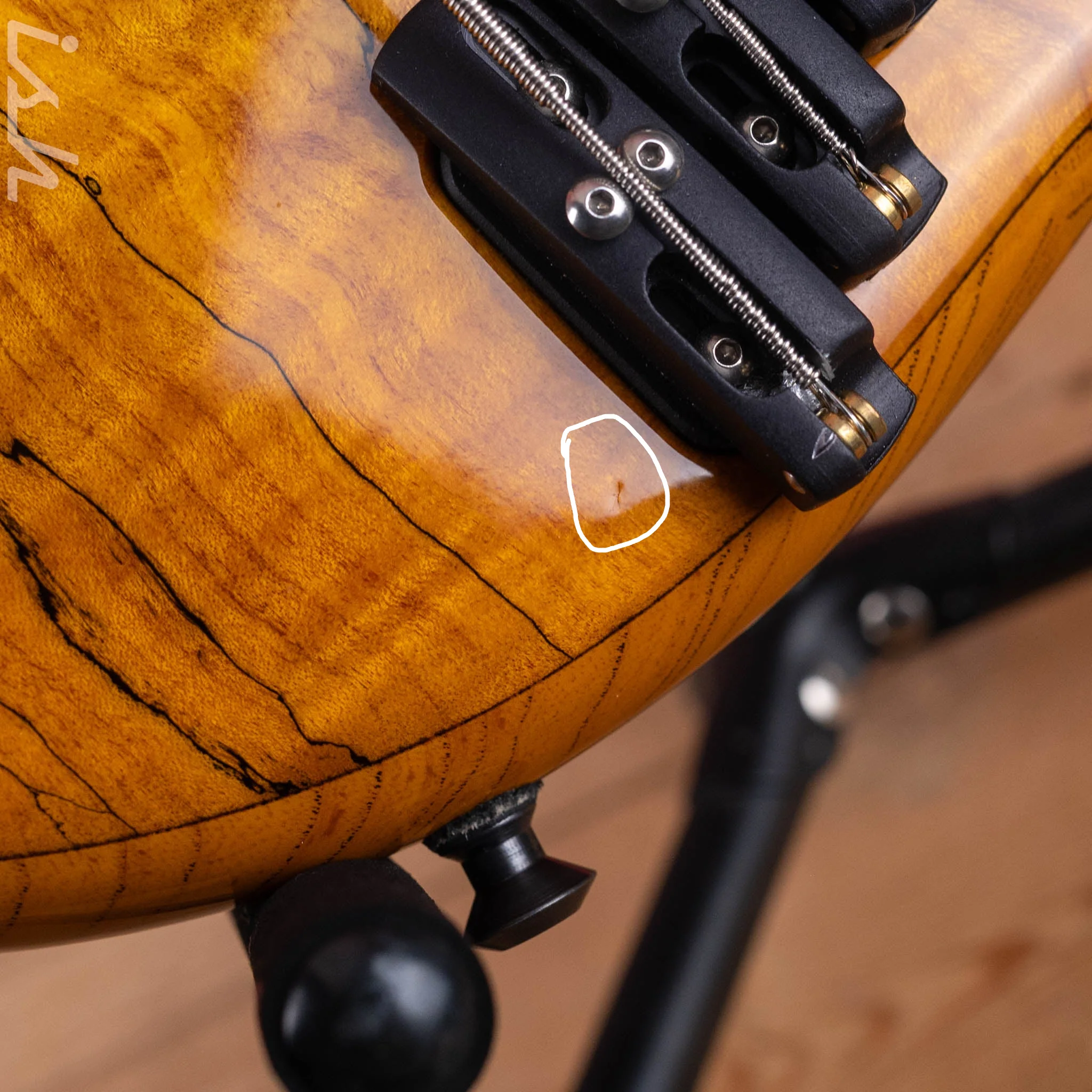 2003 Dingwall Z2 5-String Bass Spalted Maple w/ Bartolini Pickups - Image 10