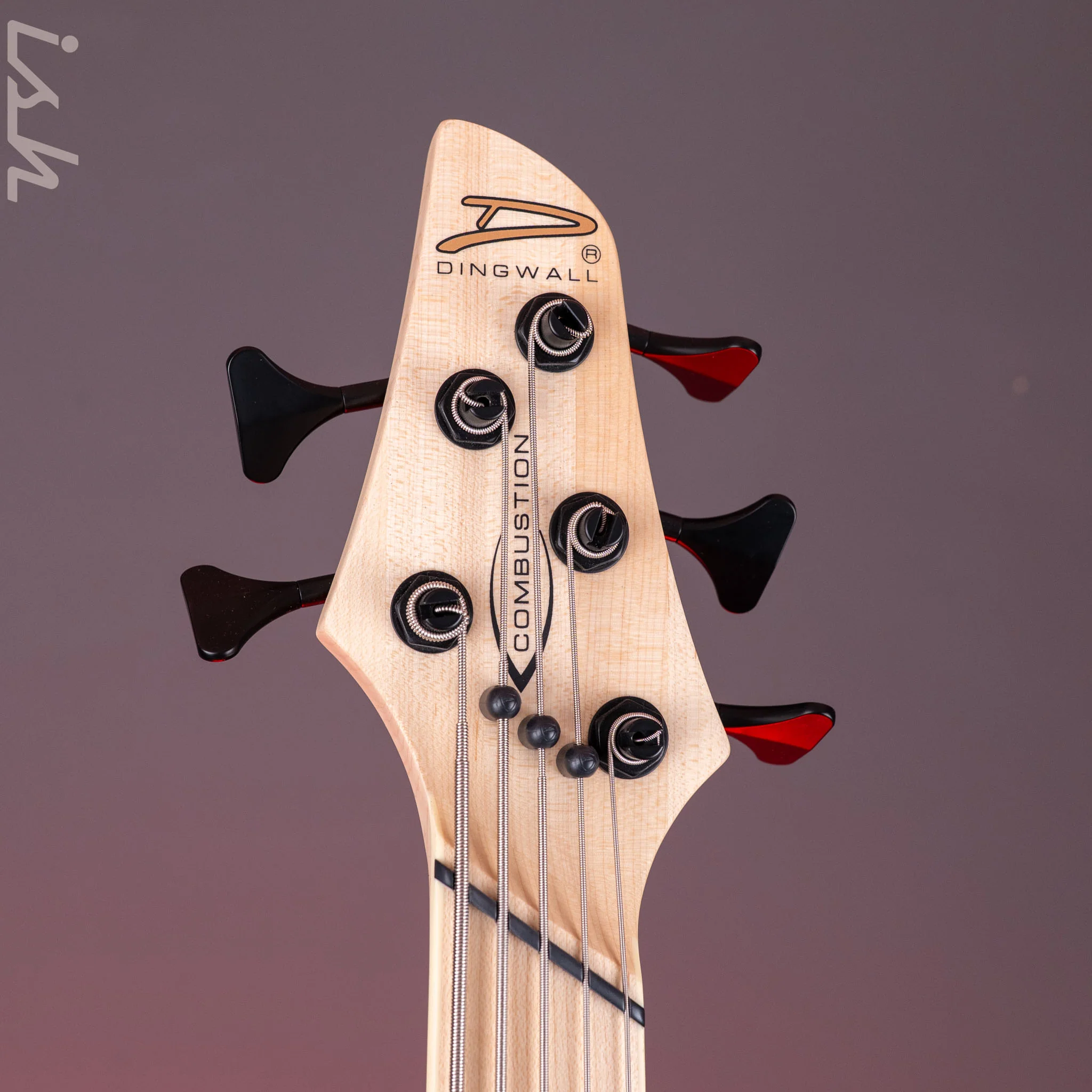 Dingwall Combustion 5-String Bass 2-Tone Blackburst - Image 6