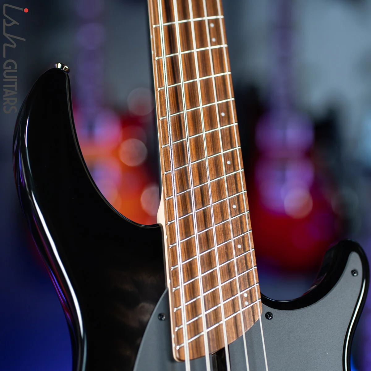 Dingwall Combustion 5 String Bass 2-Tone Blackburst - Image 5
