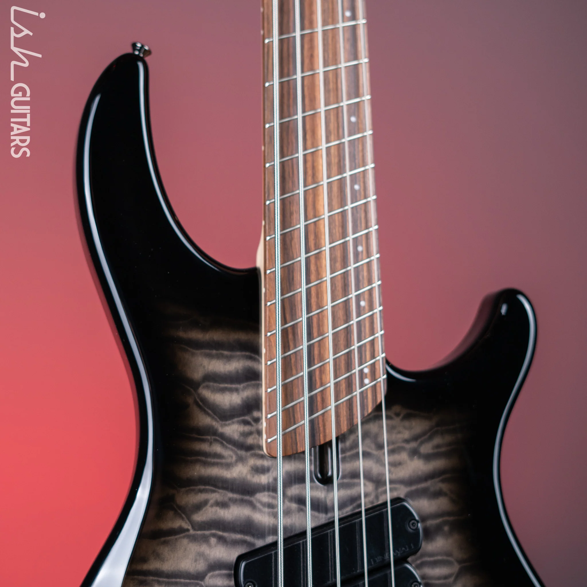 Dingwall Combustion 5-String Bass 2-Tone Blackburst Gloss Pau Ferro Fretboard - Image 3