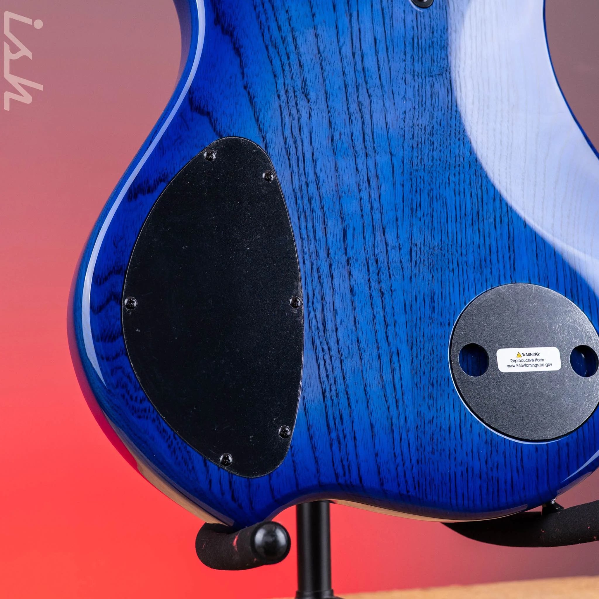 Dingwall Combustion 5-String Bass Indigoburst Pau Ferro Fretboard - Image 9