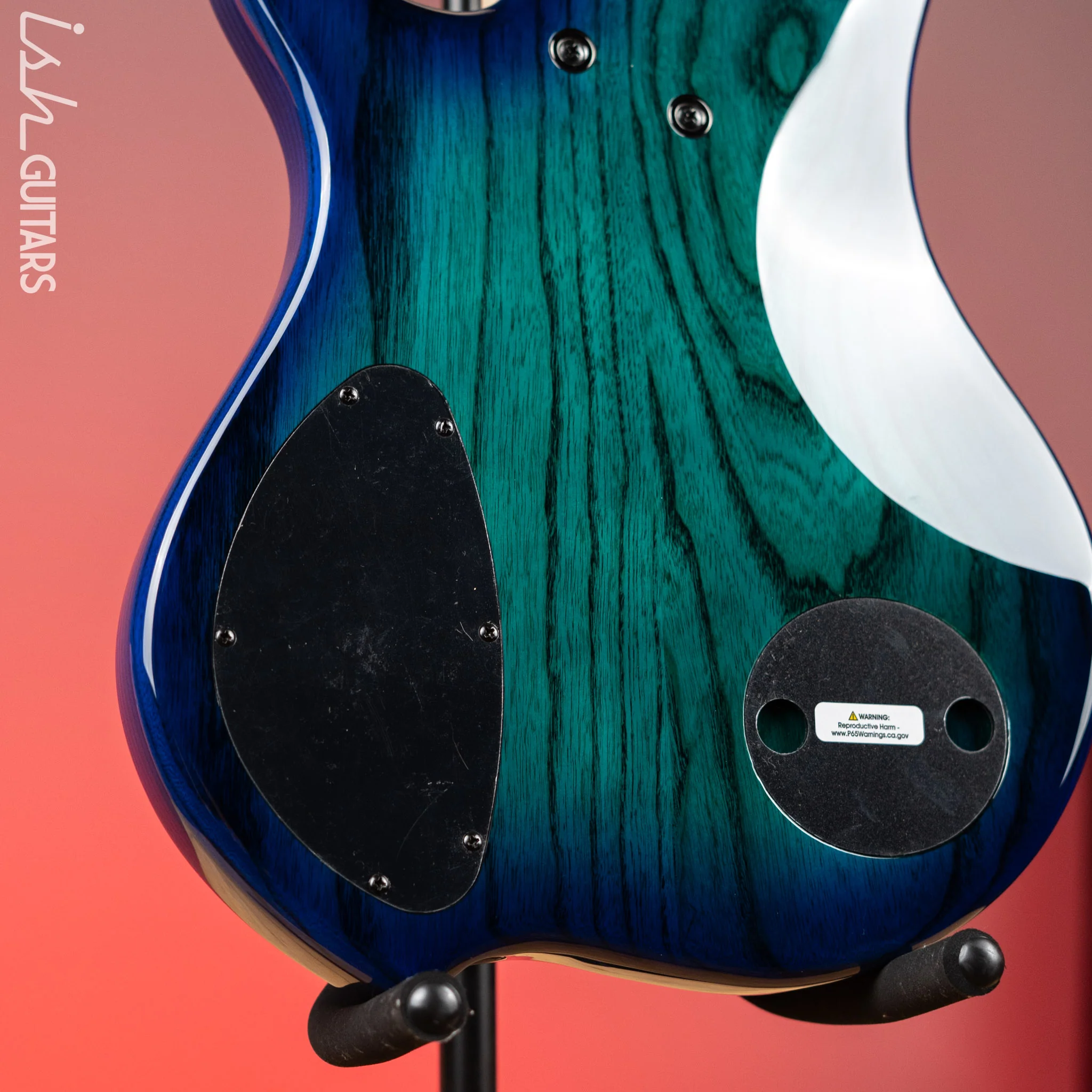 Dingwall Combustion 5-String Bass Whalepoolburst - Image 9