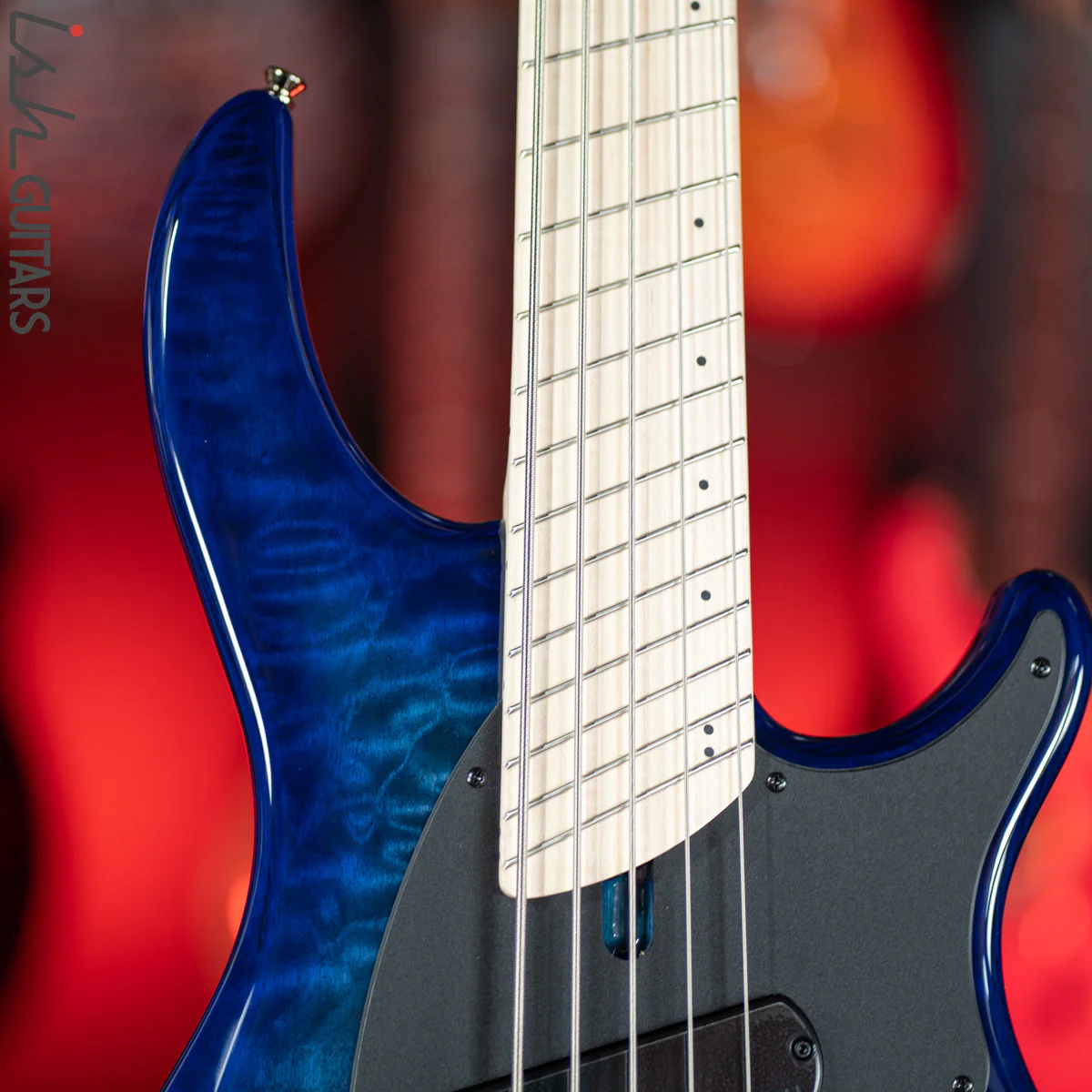 Dingwall Combustion 3 PUP 5-String Indigoburst - Image 3