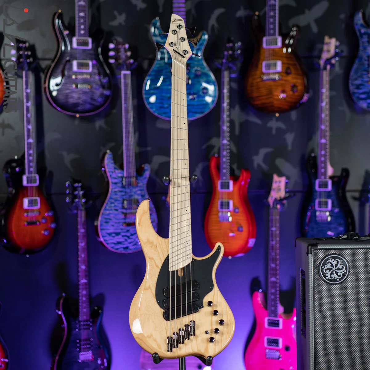 Dingwall Combustion 5-String Natural - Image 2
