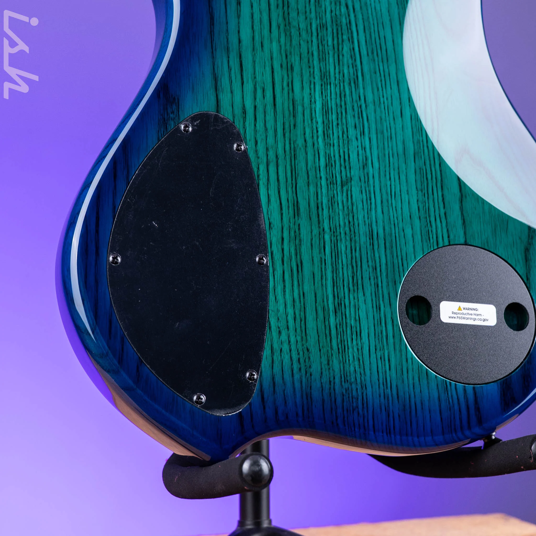 Dingwall Combustion 5-String Bass Whalepoolburst Pau Ferro Fretboard - Image 10