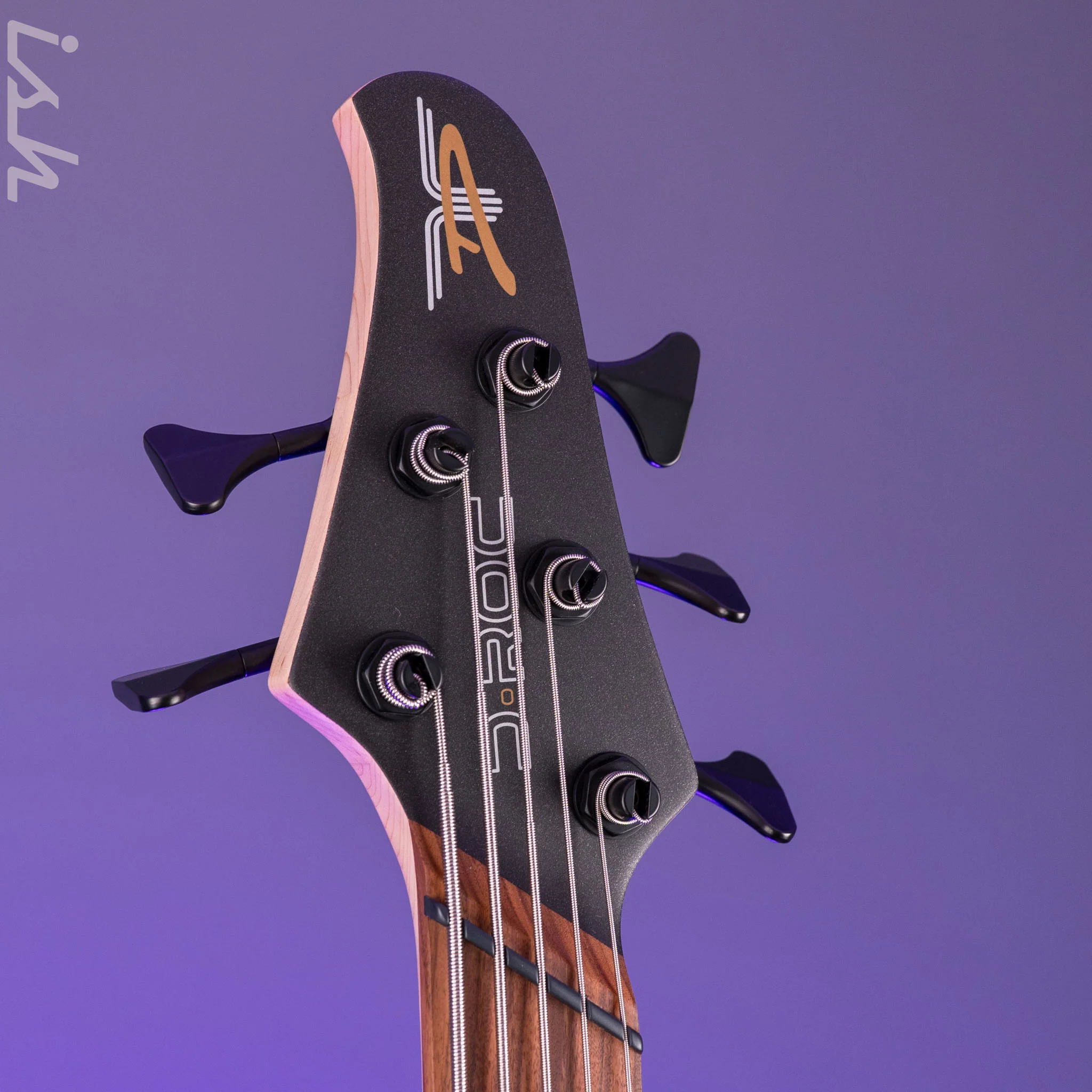 Dingwall D-Roc Standard 5-String Bass Ducati Pearl White - Image 6