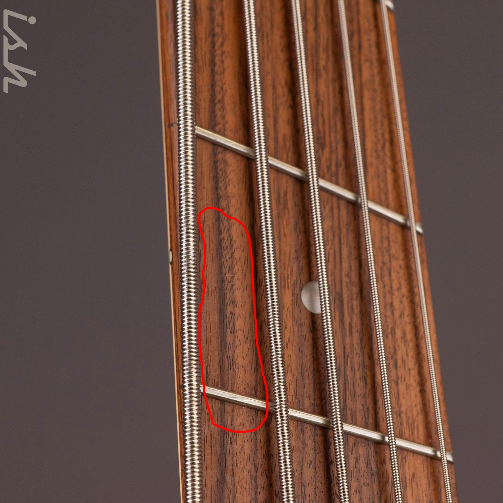 Dingwall D-Roc Standard 5-String Bass Matte Blue to Purple Colorshift B-Stock - Image 8