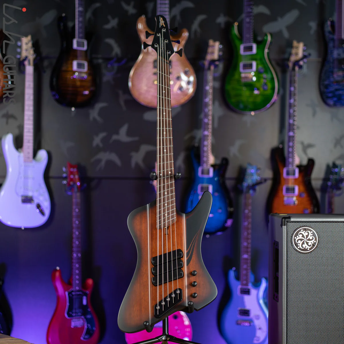 Dingwall D-Roc Standard 5-String Bass Matte Vintageburst - Image 2