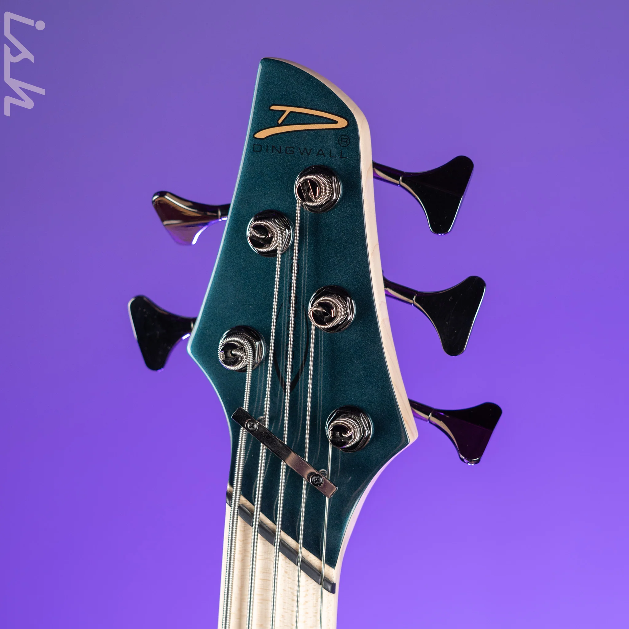 Dingwall NG-3 5-String Bass Black Forest Green - Image 5