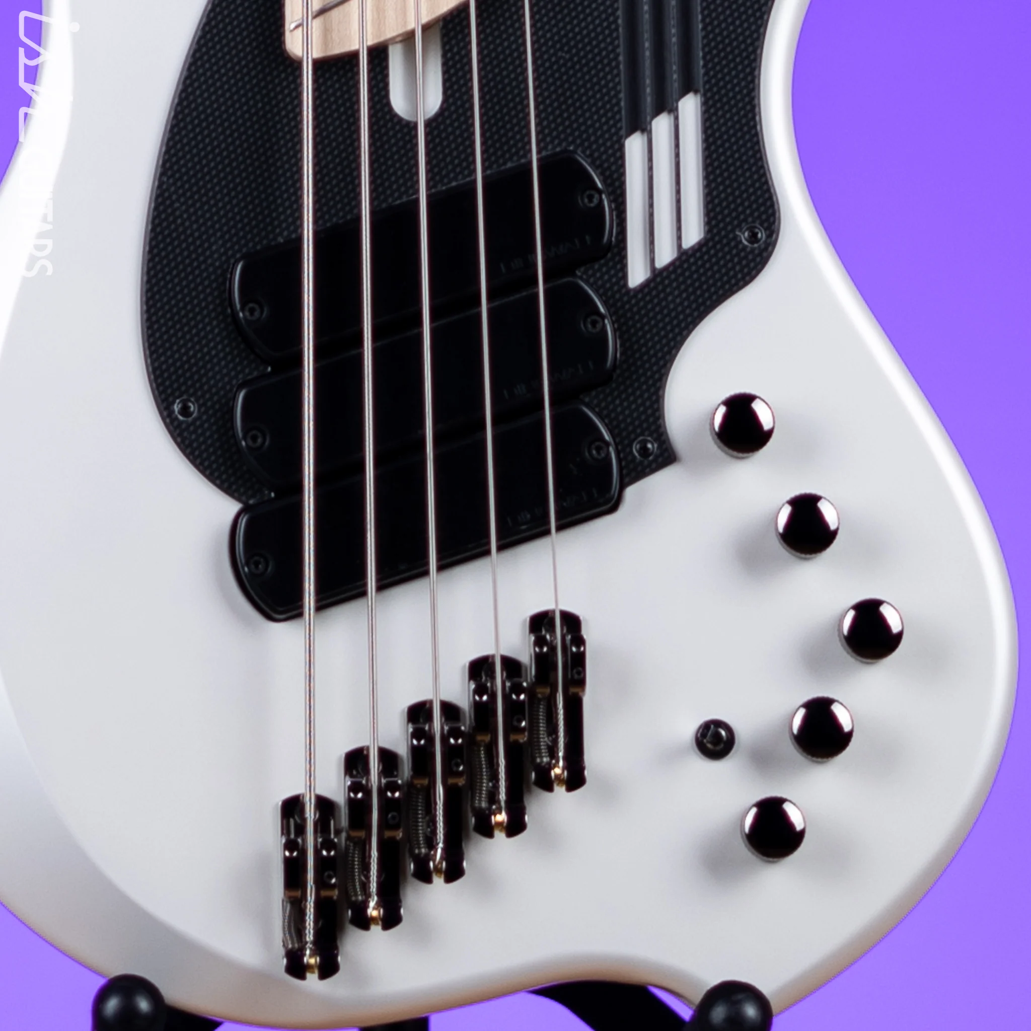 Dingwall NG-3 5-String Bass Ducati White - Image 4