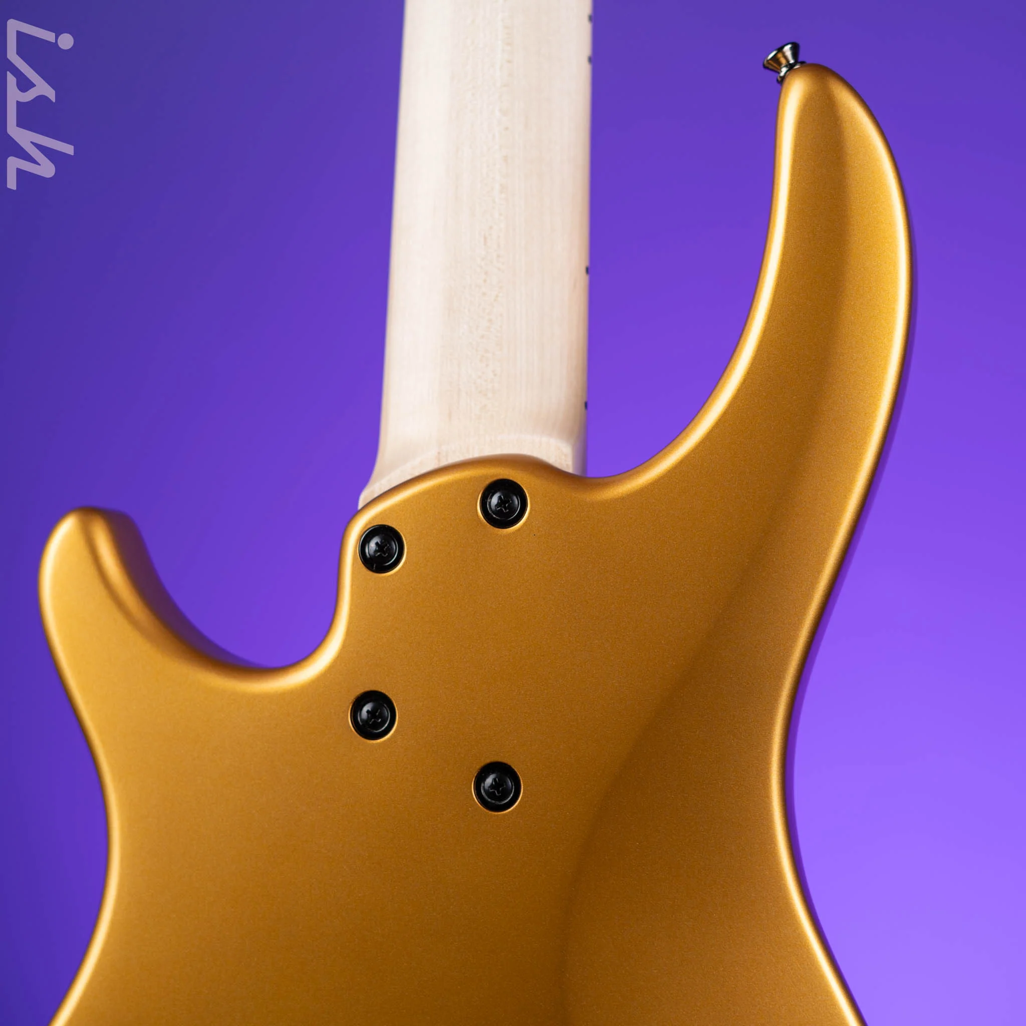 Dingwall NG-3 5-String Bass Matte Gold Metallic - Image 8