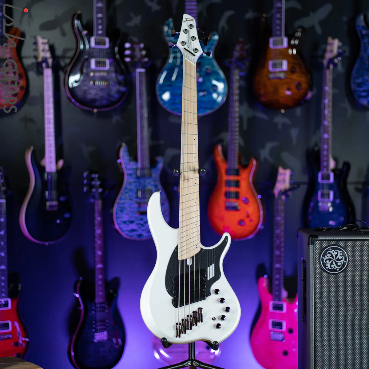 Dingwall NG-3 5-String Adam “Nolly” Getgood Signature Ducati White - Image 2