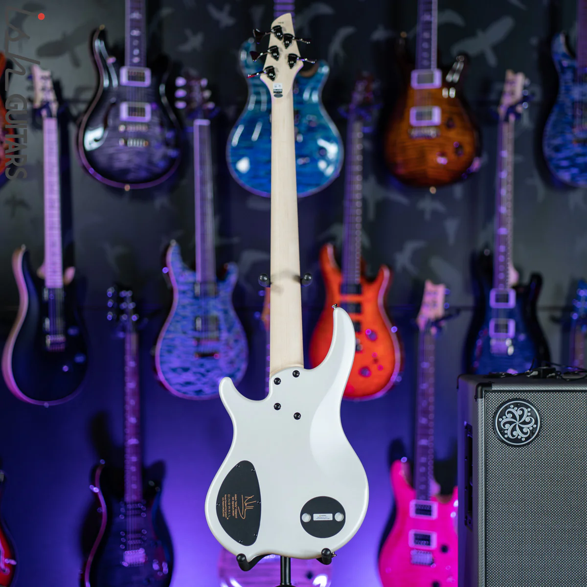 Dingwall NG-3 5-String Adam “Nolly” Getgood Signature Ducati White - Image 7