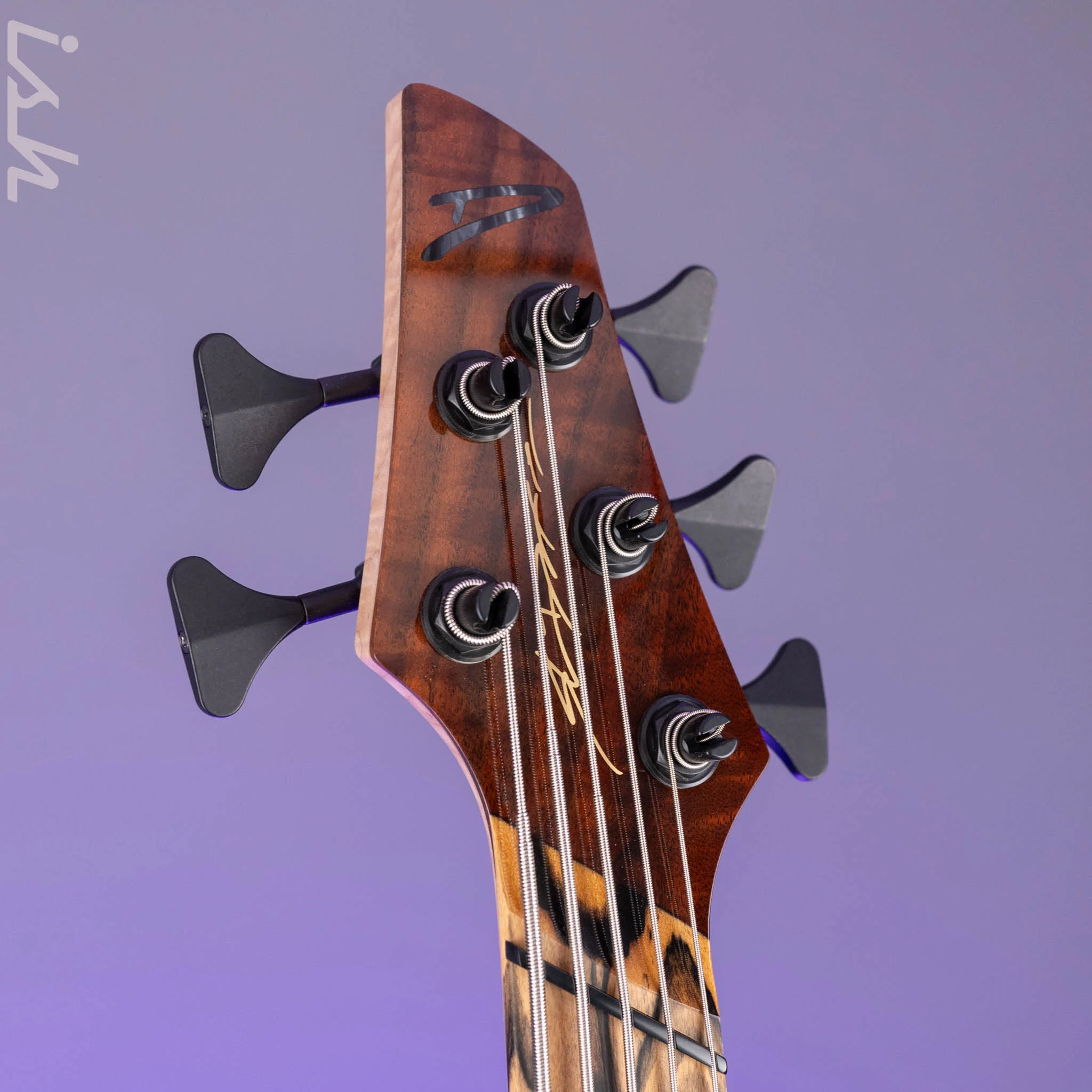 Dingwall Prima Artist Custom Shop 5-String Bass - Image 8