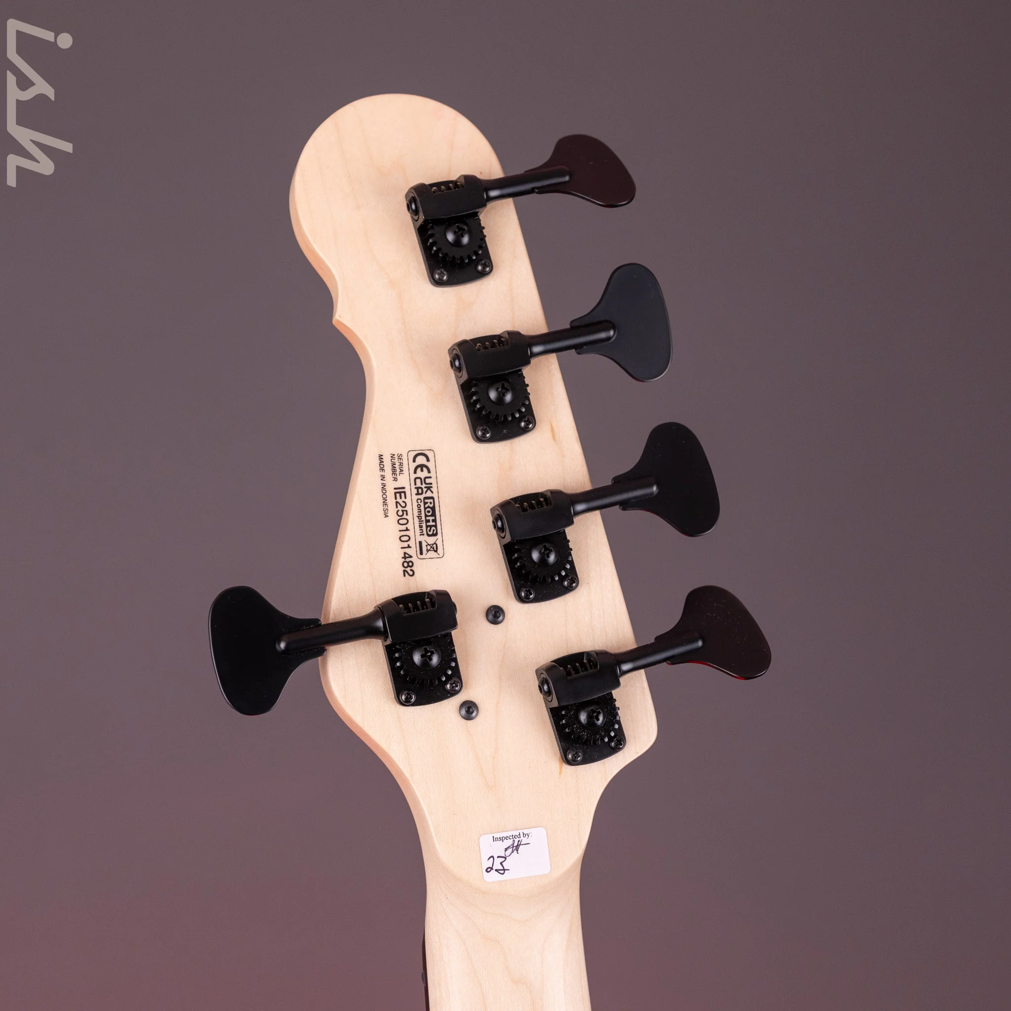 Dingwall SP1 5-String Bass Matte Ducati Pearl White - Image 11