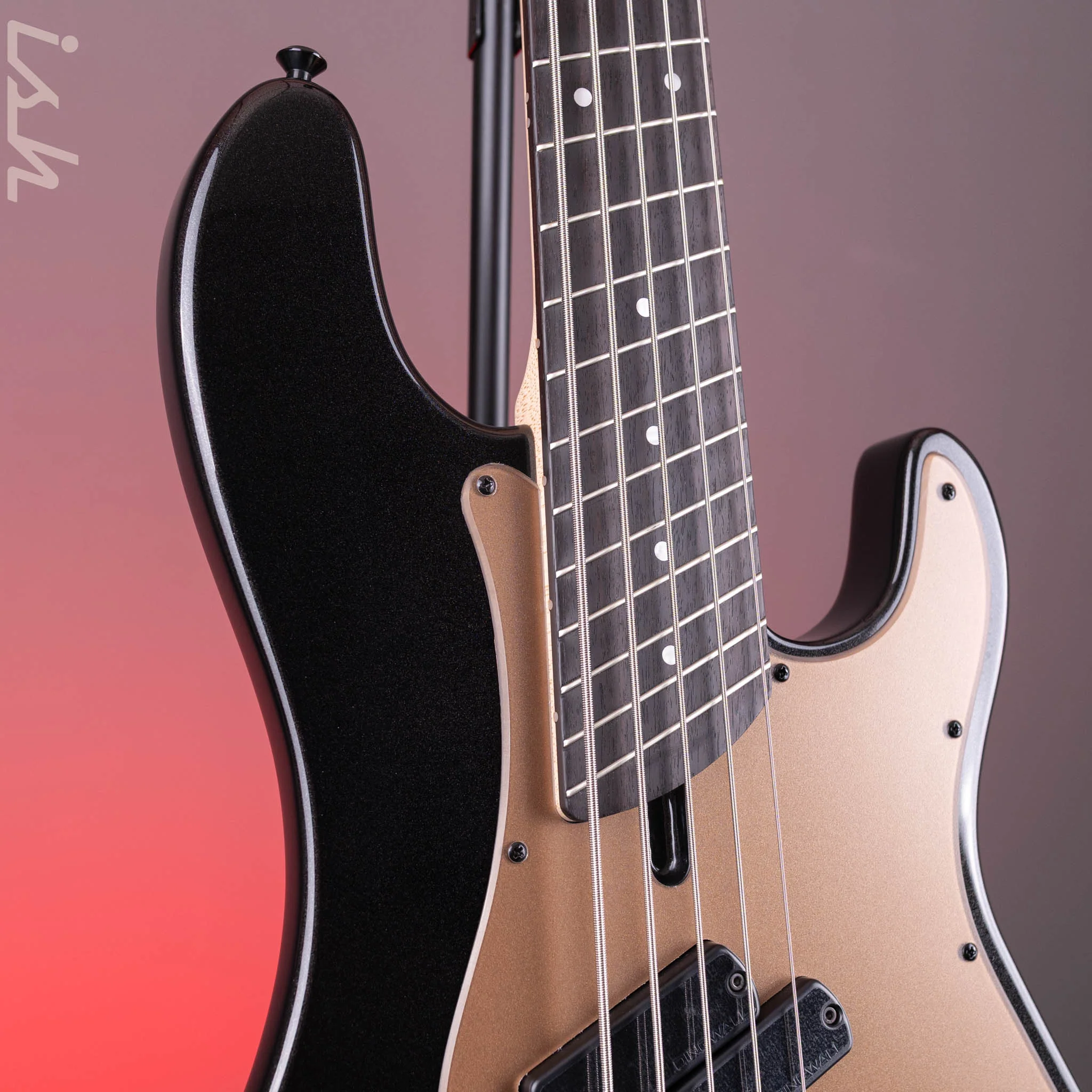 Dingwall SP1 5-String Bass Gloss Metallic Black - Image 4