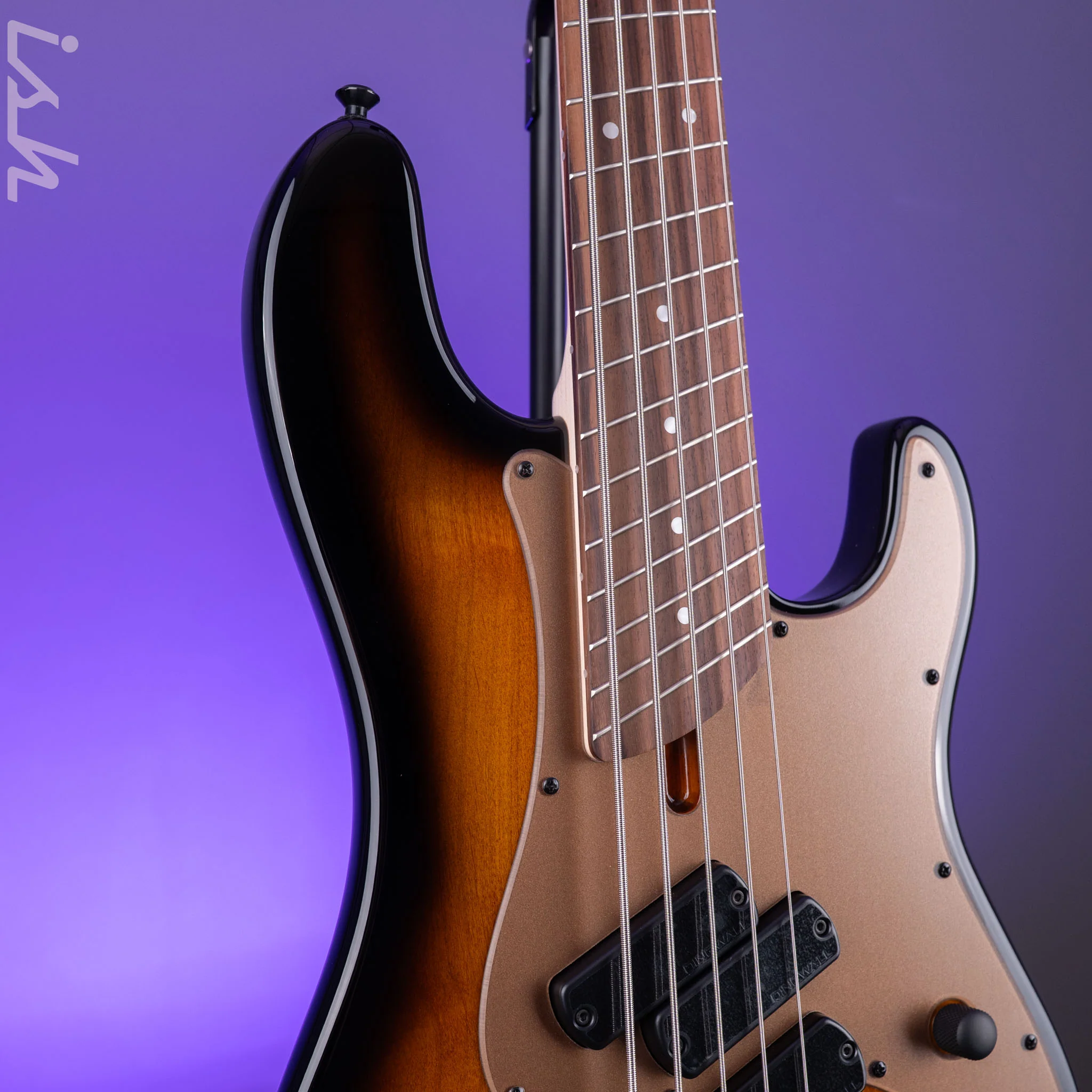 Dingwall SP1 5-String Bass Gloss Vintageburst - Image 4
