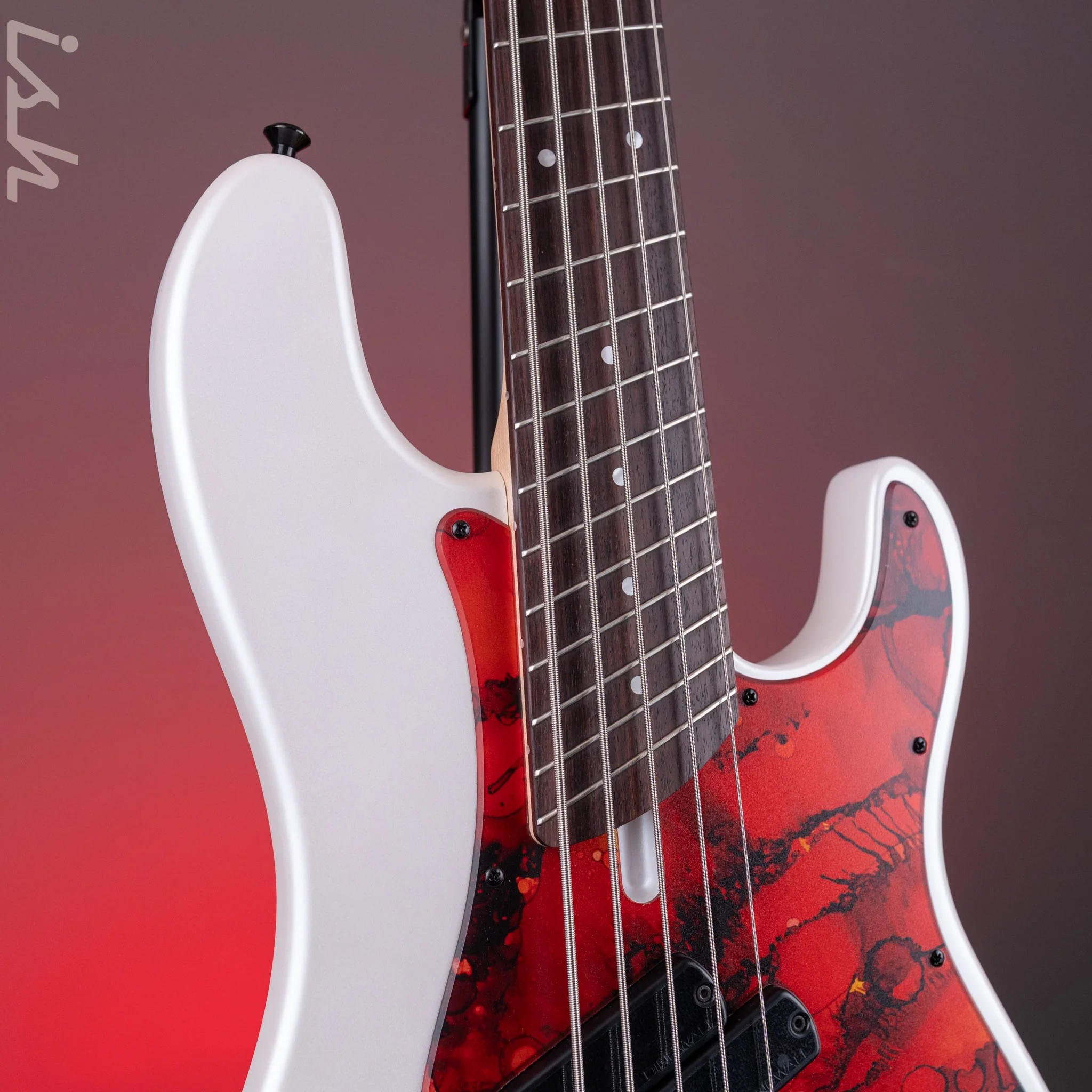 Dingwall SP1 5-String Bass Matte Ducati Pearl White - Image 3