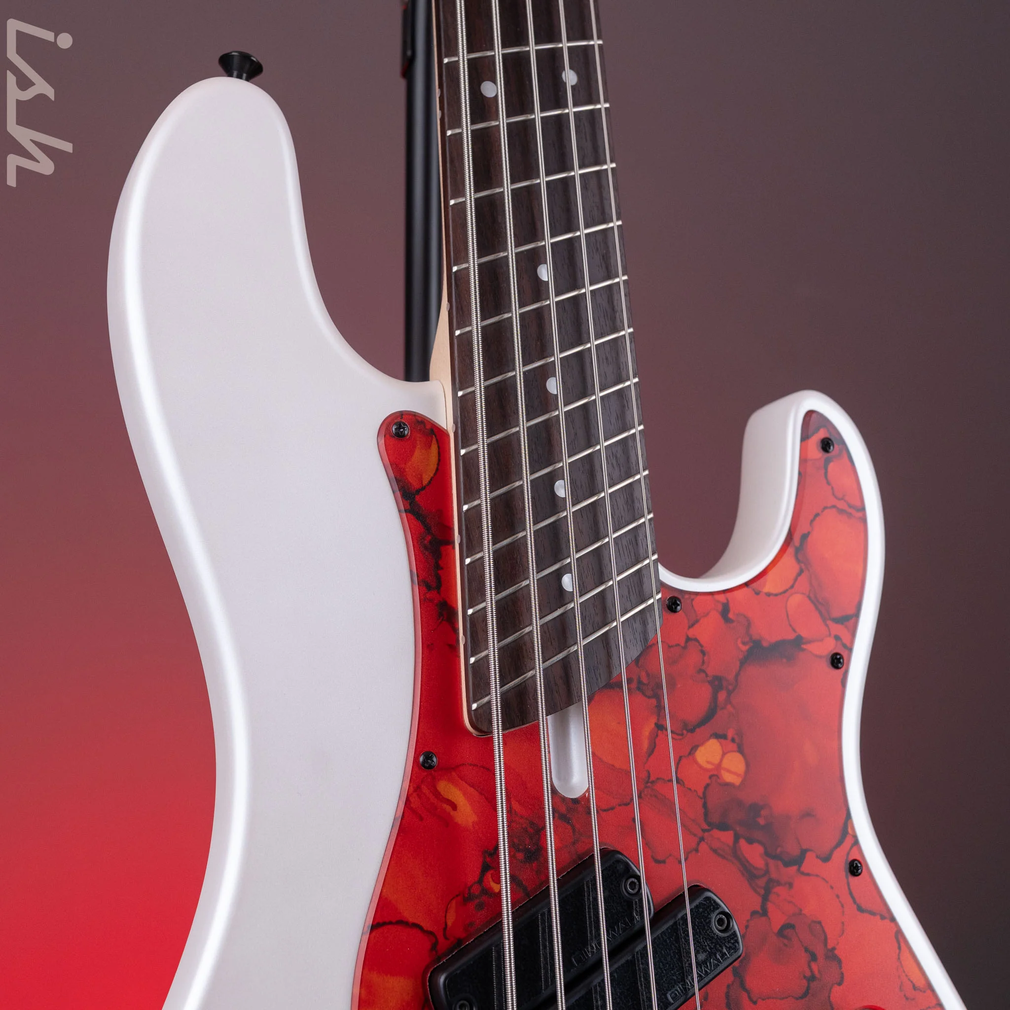 Dingwall SP1 5-String Bass Matte Ducati Pearl White - Image 4