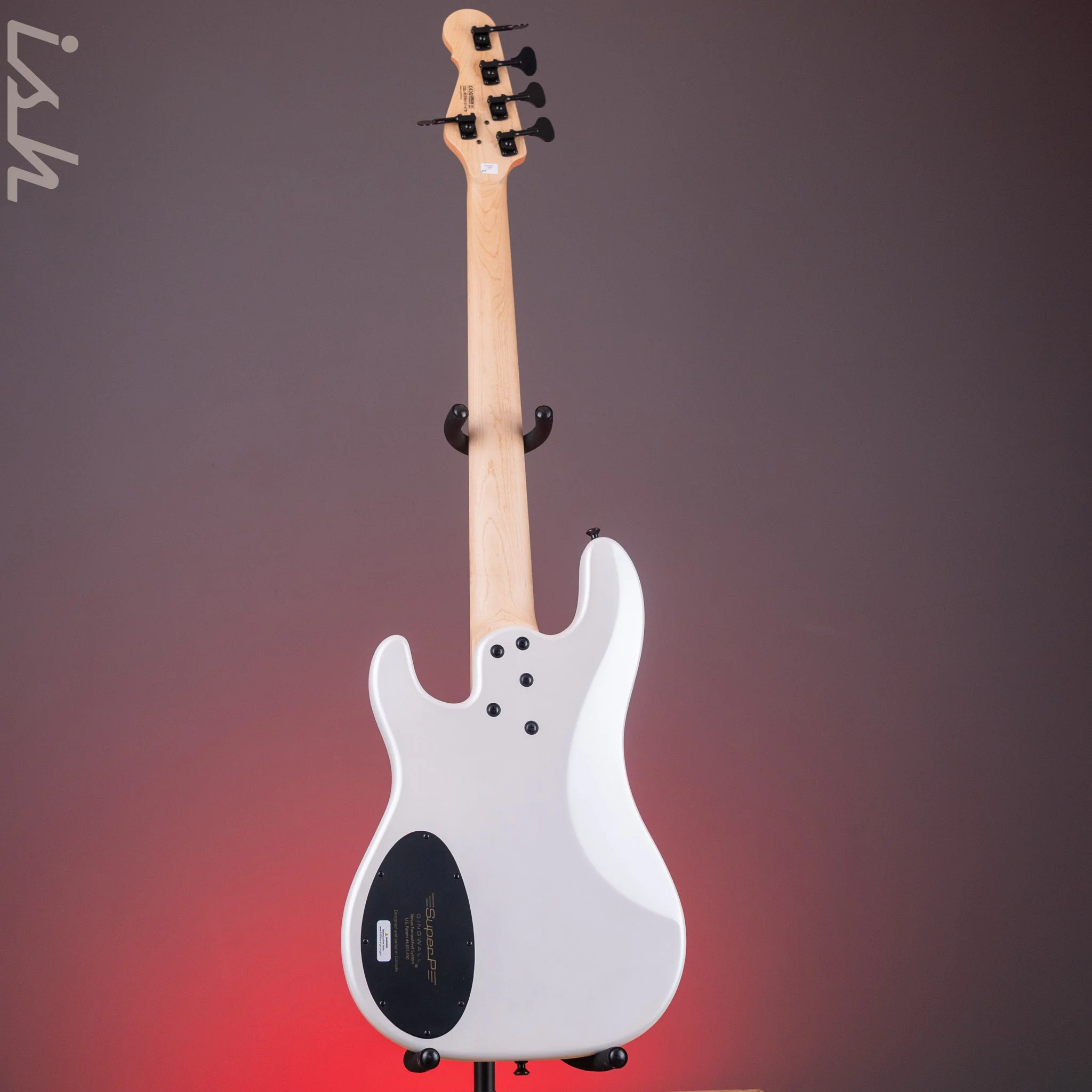 Dingwall SP1 5-String Bass Matte Ducati Pearl White - Image 7