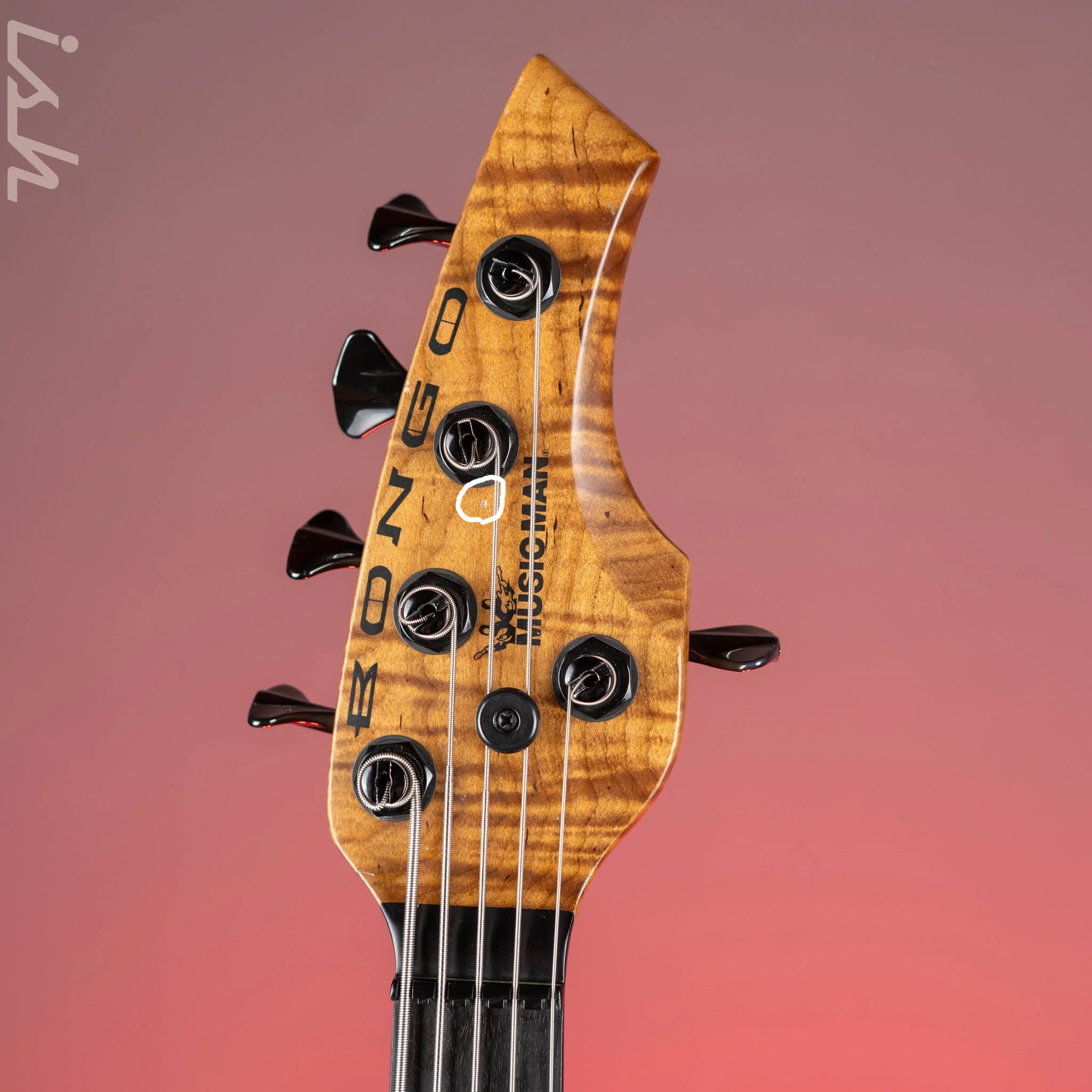 2018 Ernie Ball Music Man Bongo 5 String Limited Edition Barolo Purple - Image 5