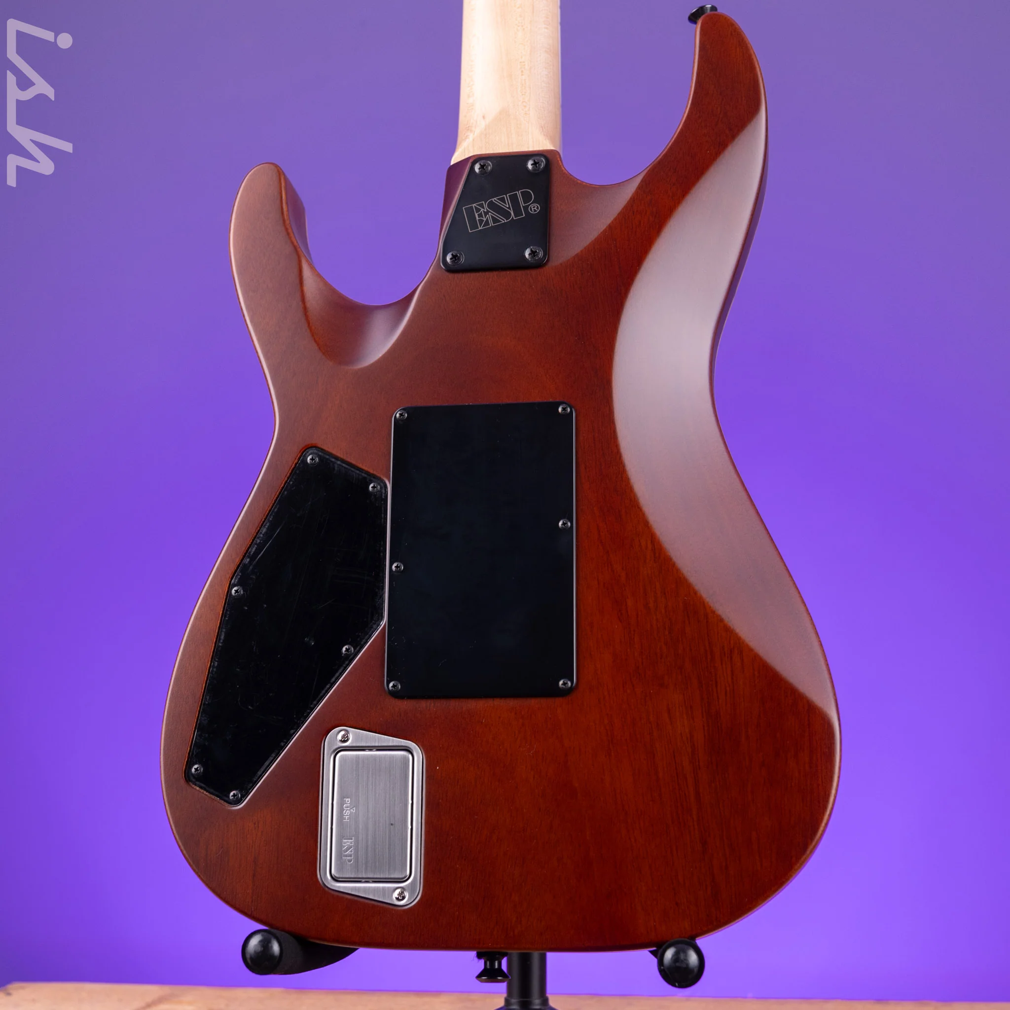 ESP USA M-I DX FR Satin Natural Zebrawood - Image 8