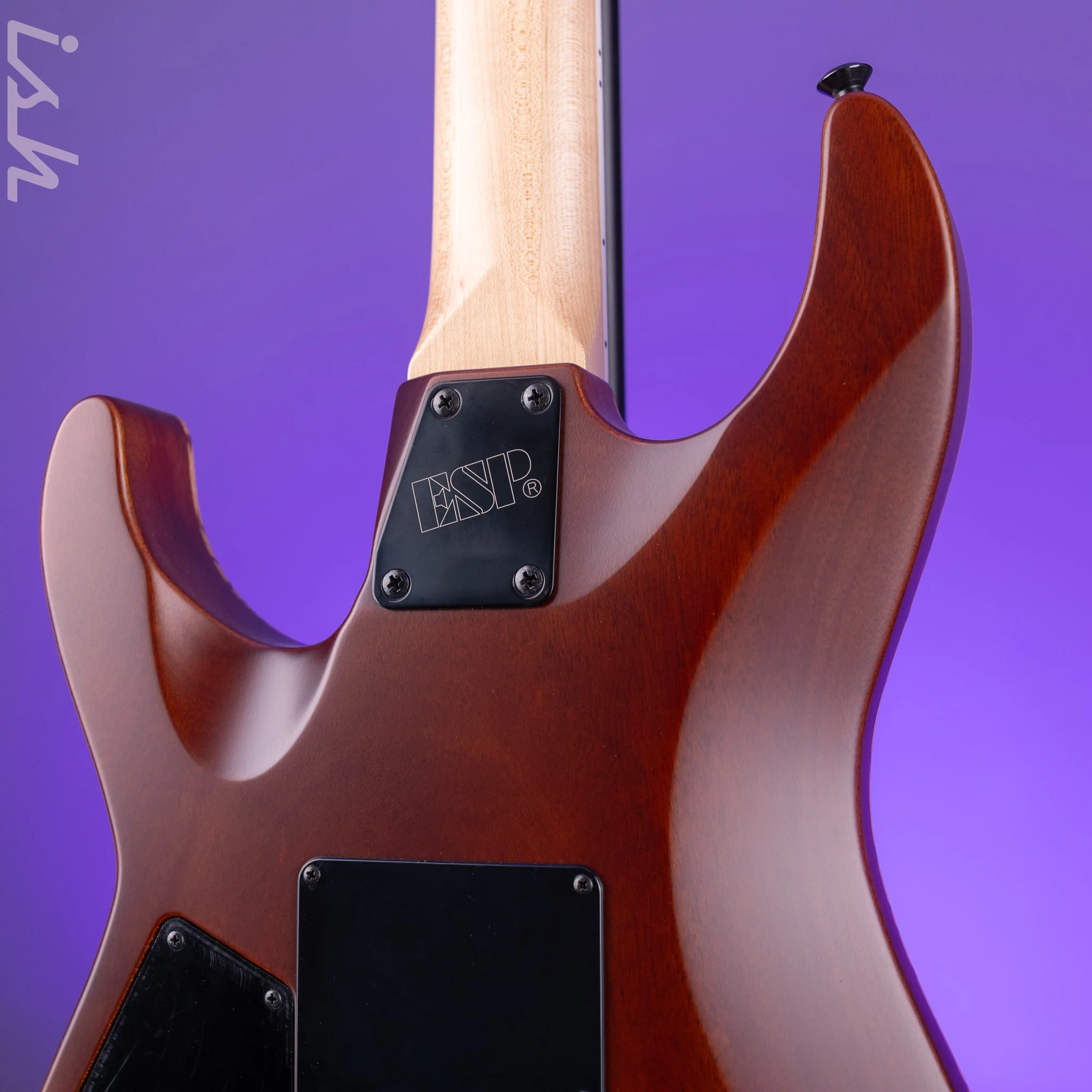 ESP USA M-I DX FR Satin Natural Zebrawood - Image 9