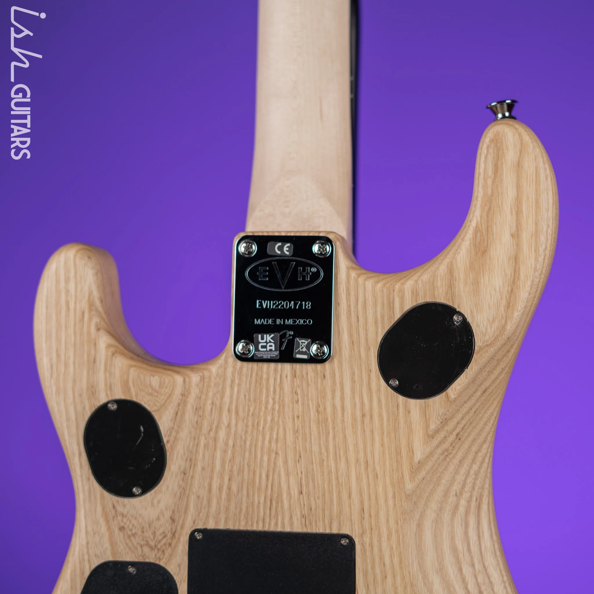 EVH 5150 Limited Edition Deluxe Ash Electric Guitar Demo - Image 9