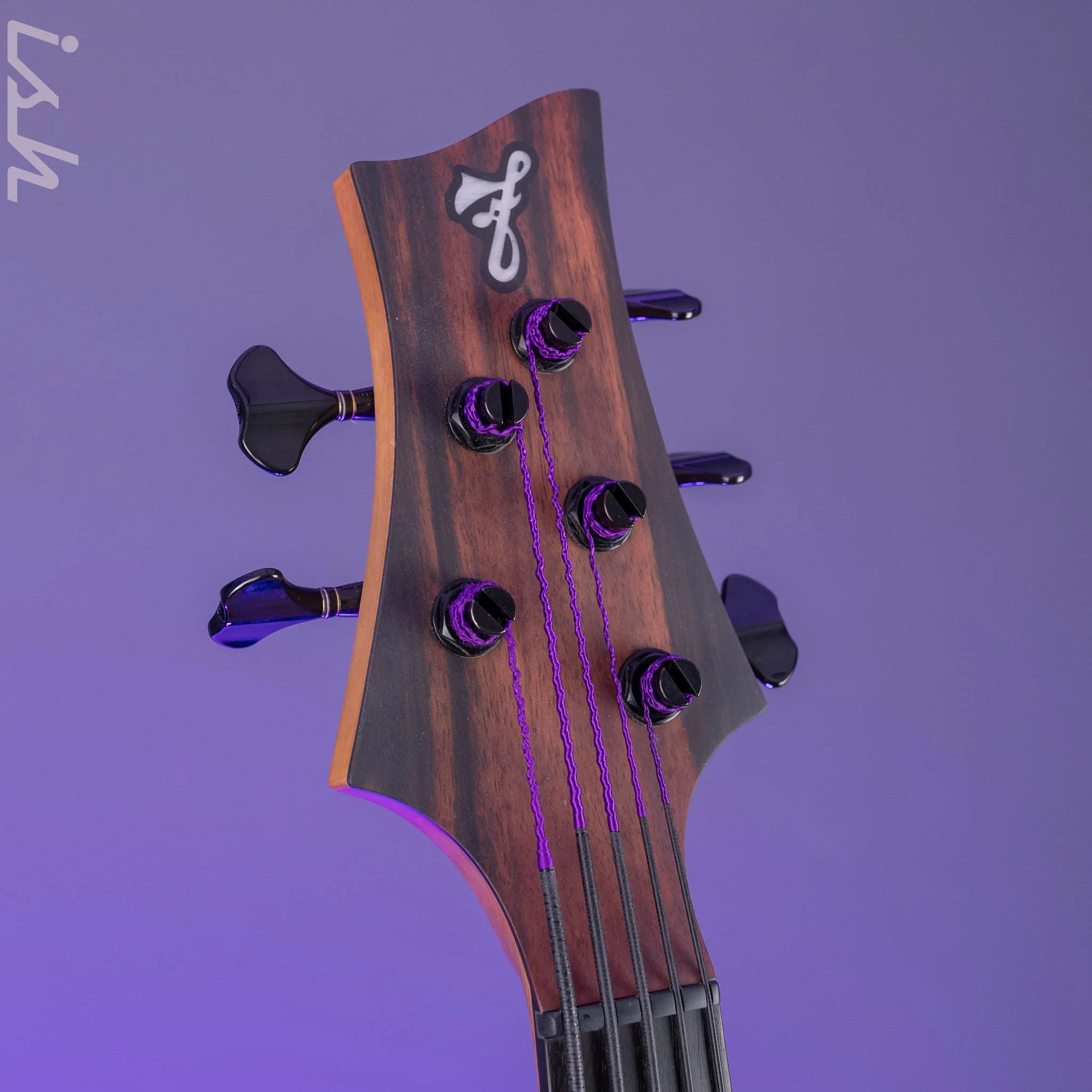 F Bass AC5-Classic Fretless Amara Ebony Top - Image 5