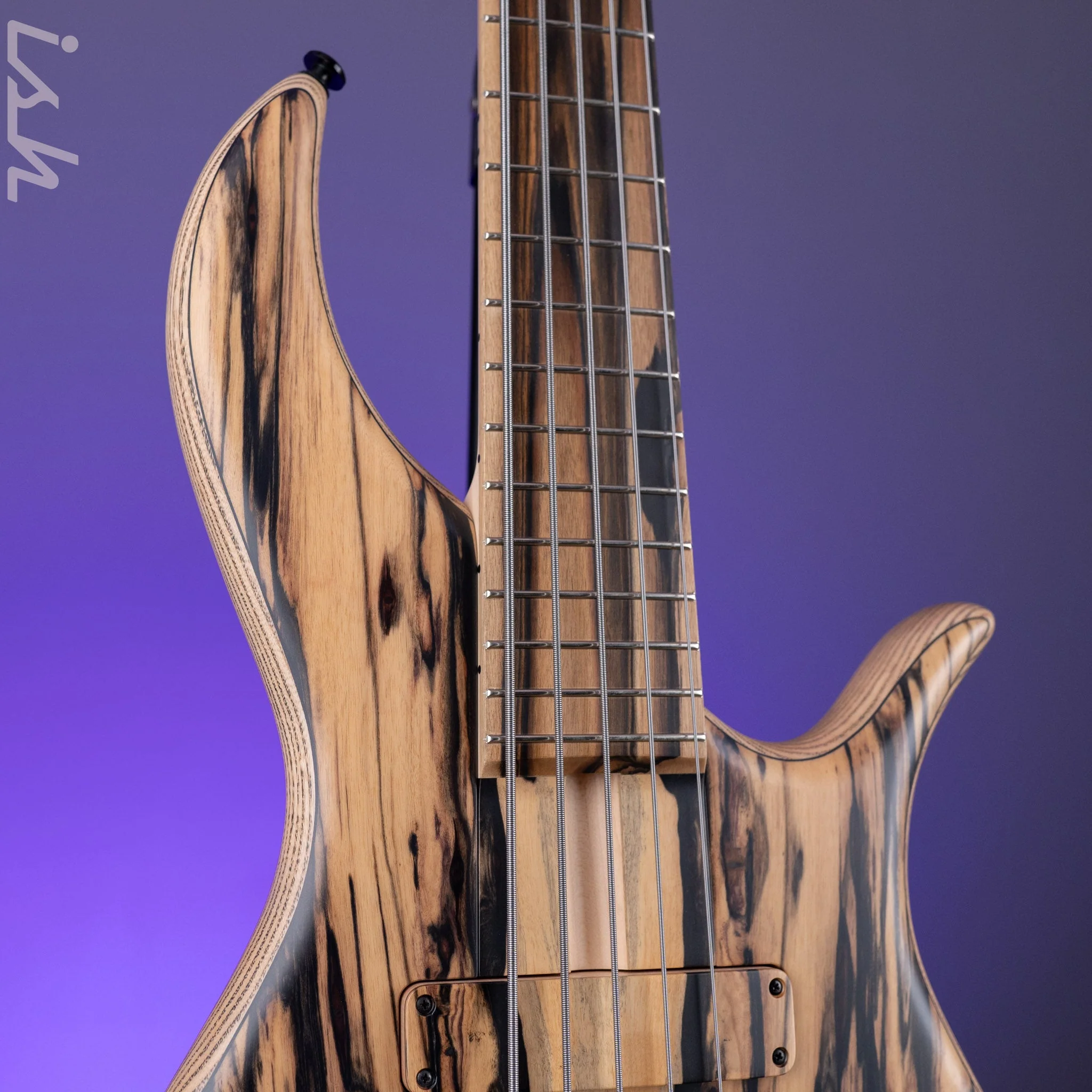 F Bass BN5 5-String Bass Pale Moon Ebony - Image 3