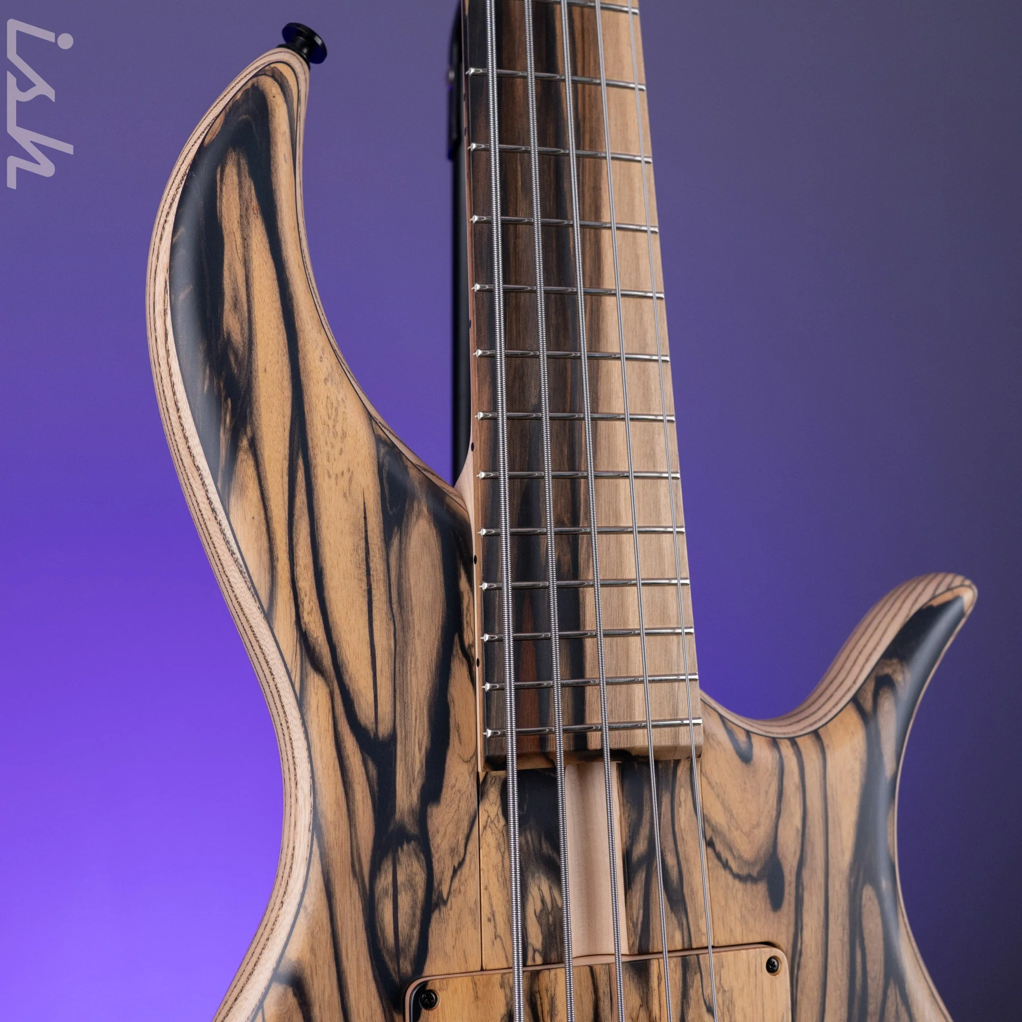 F Bass BN5 5-String Bass Pale Moon Ebony - Image 3