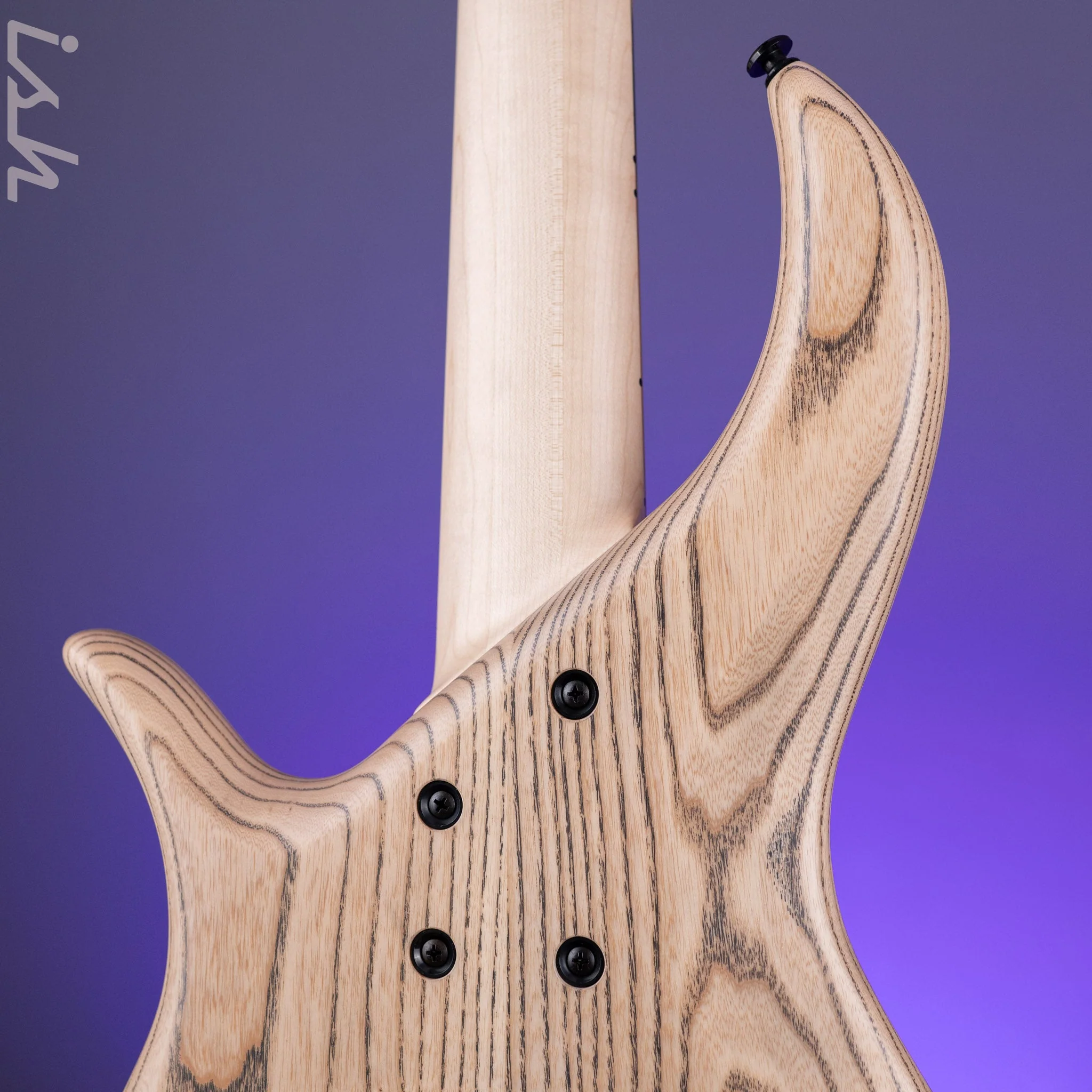 F Bass BN5 5-String Bass Pale Moon Ebony - Image 9
