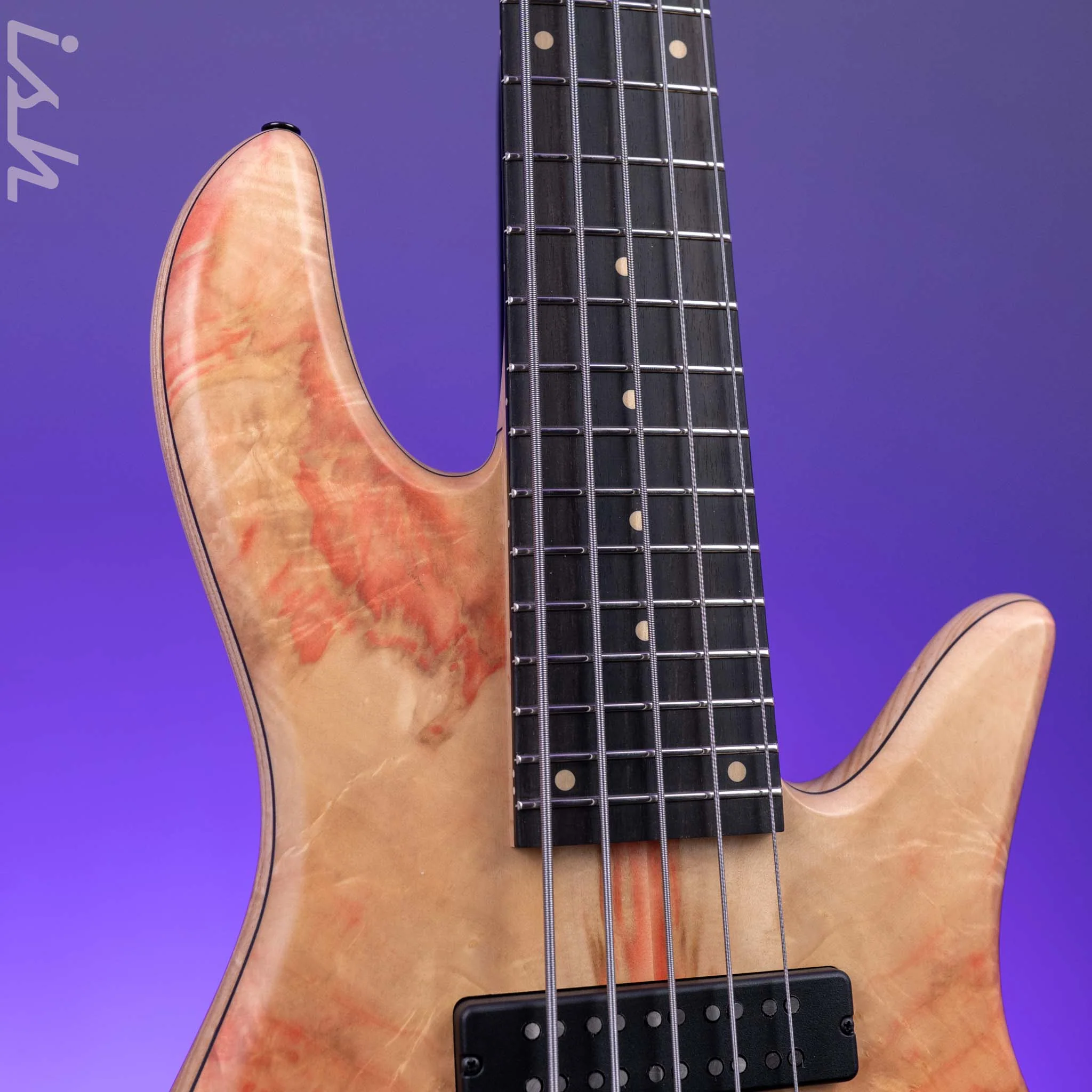Fodera 40th Anniversary Emperor Deluxe 5-String Bass Natural Japanese Maple - Image 3