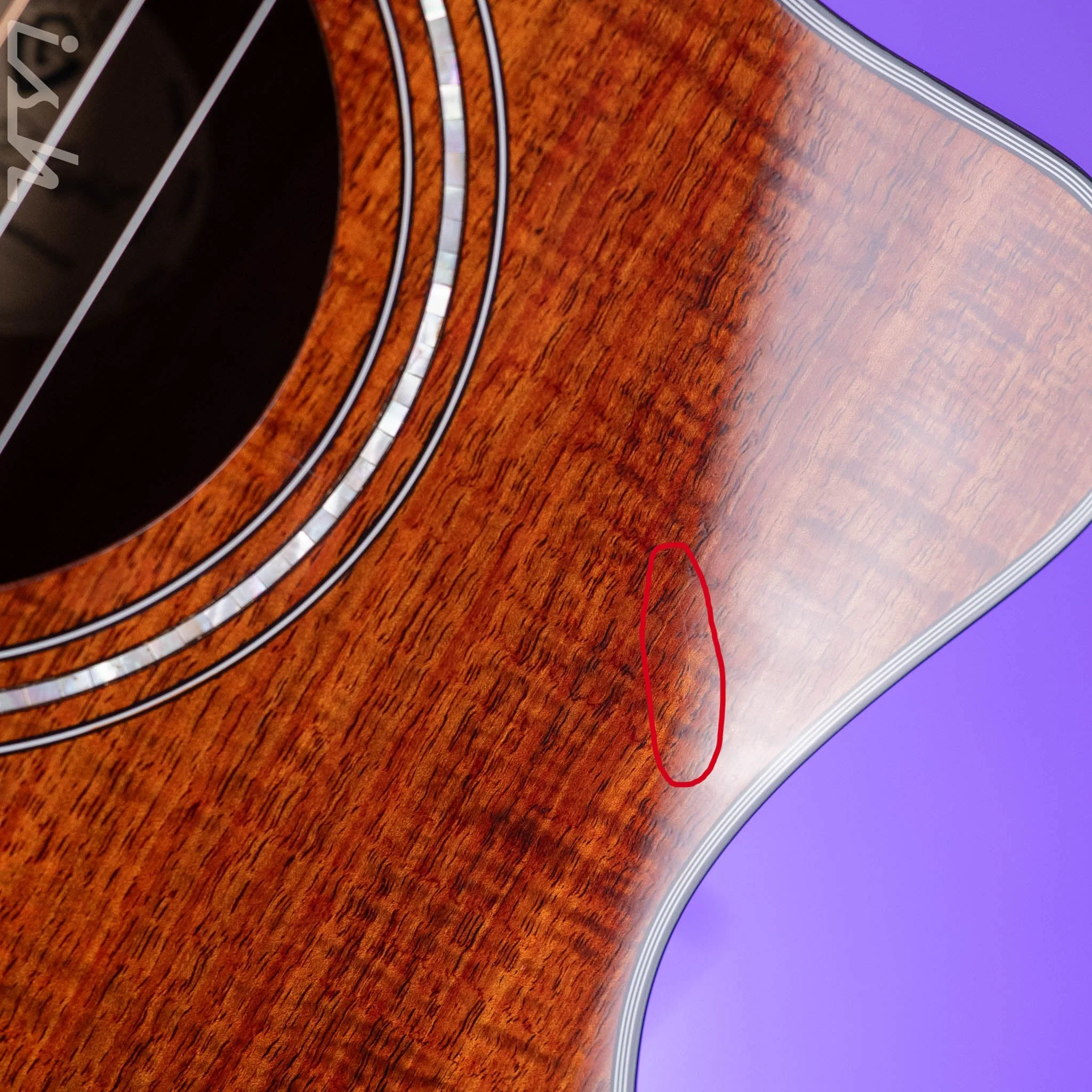 Guild OM260ce Deluxe Blackwood Natural - Image 6
