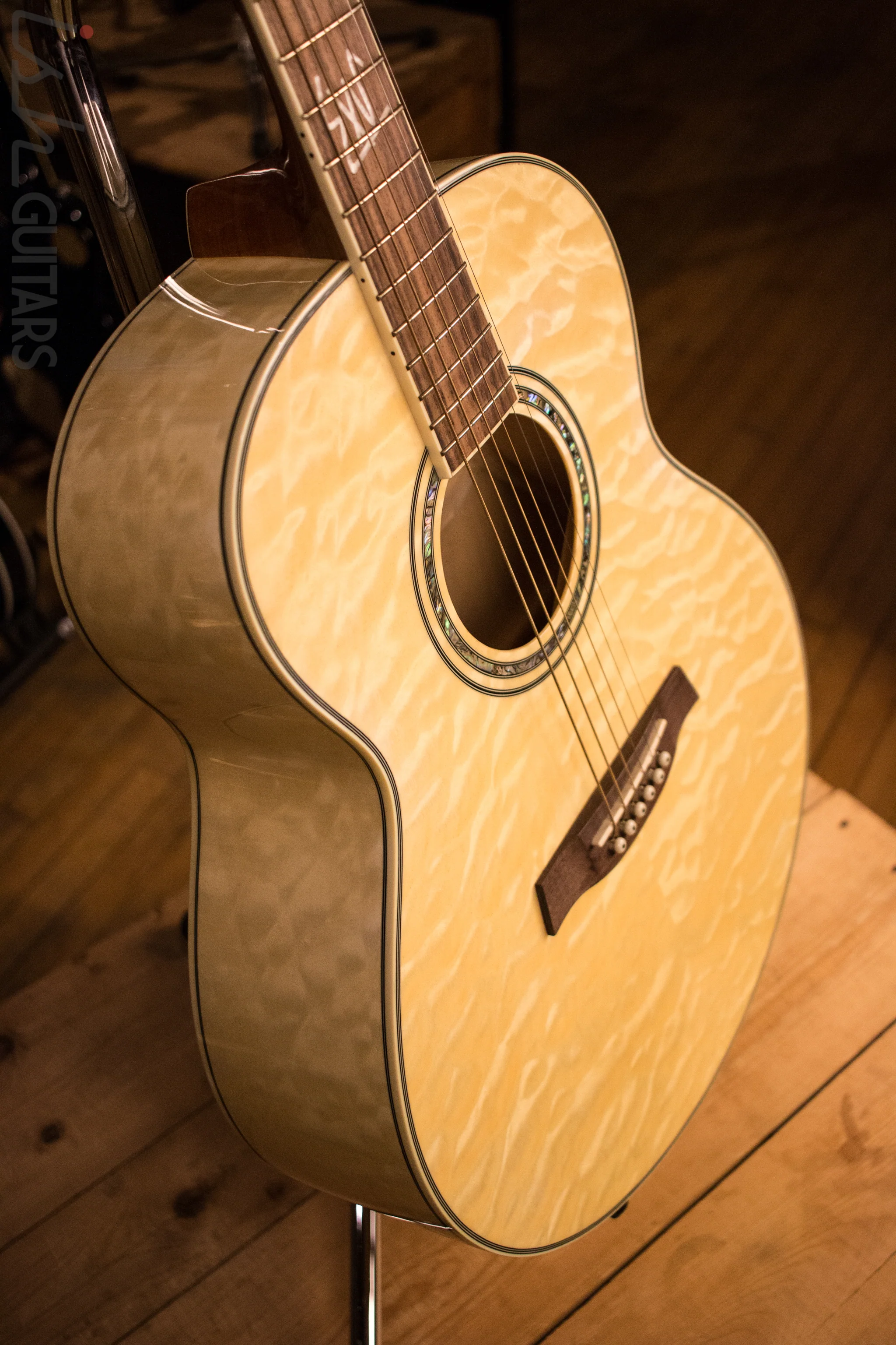Ibanez Acoustic - Image 5