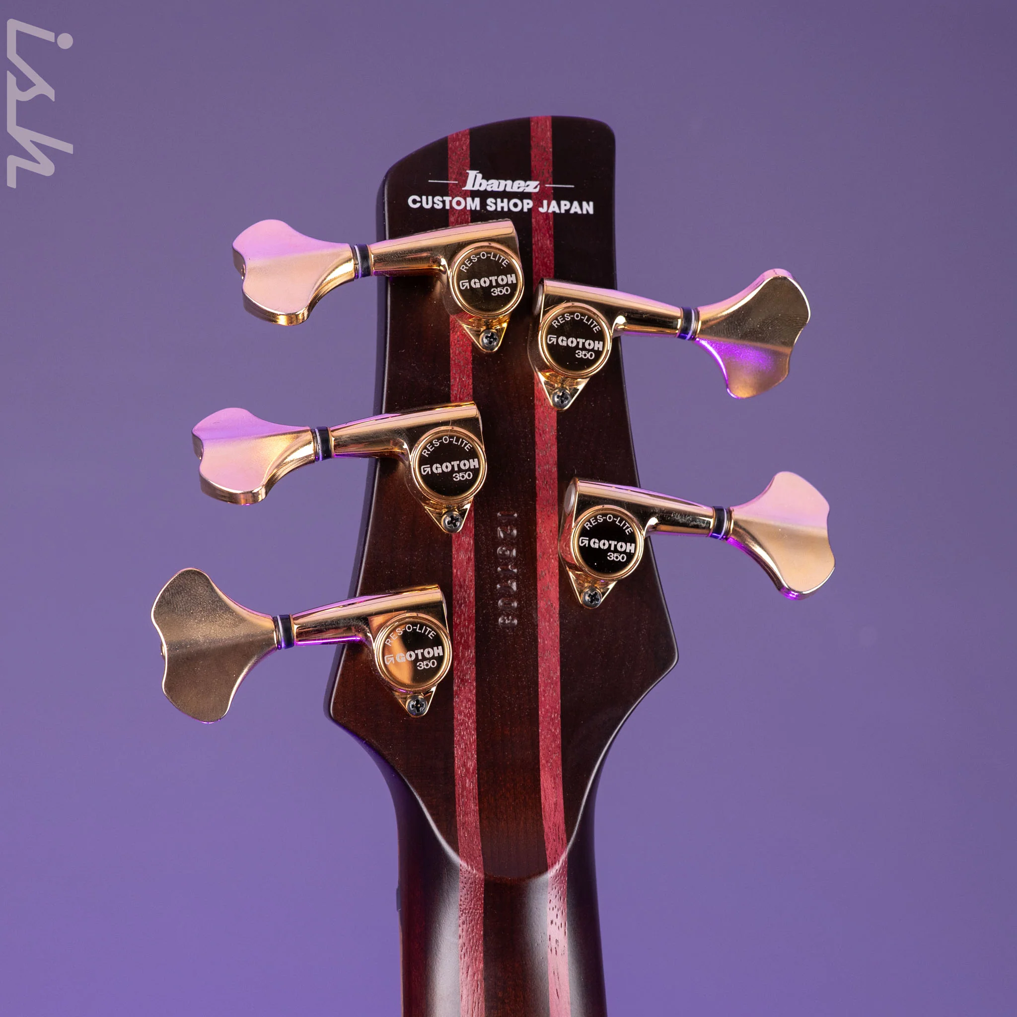 Ibanez Custom Shop Visions SR 5-String Bass Natural Bastogne Walnut - Image 13