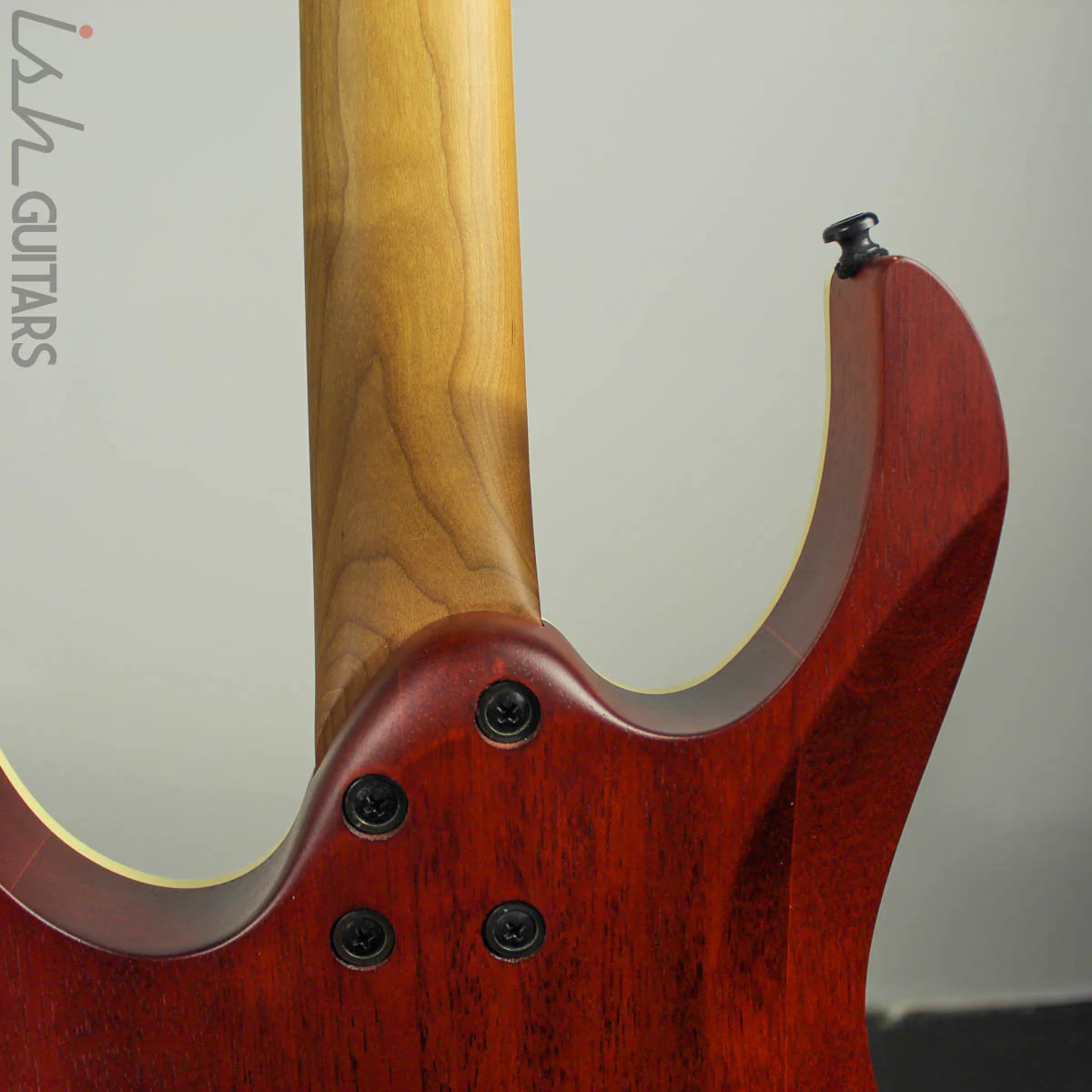 Ibanez Exotic RGEW521M Zebrawood Natural Flat B-STOCK - Image 10