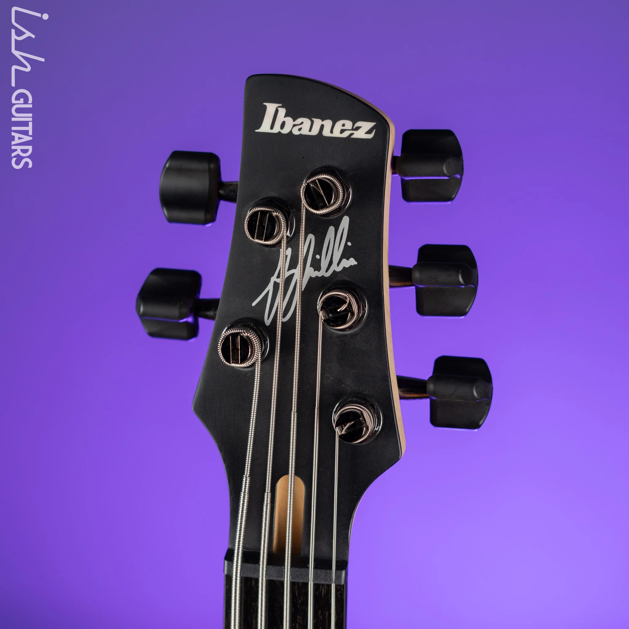 Ibanez GWB205 Gary Willis Signature 5-String Fretless Bass Tequila Sunrise Flat - Image 5