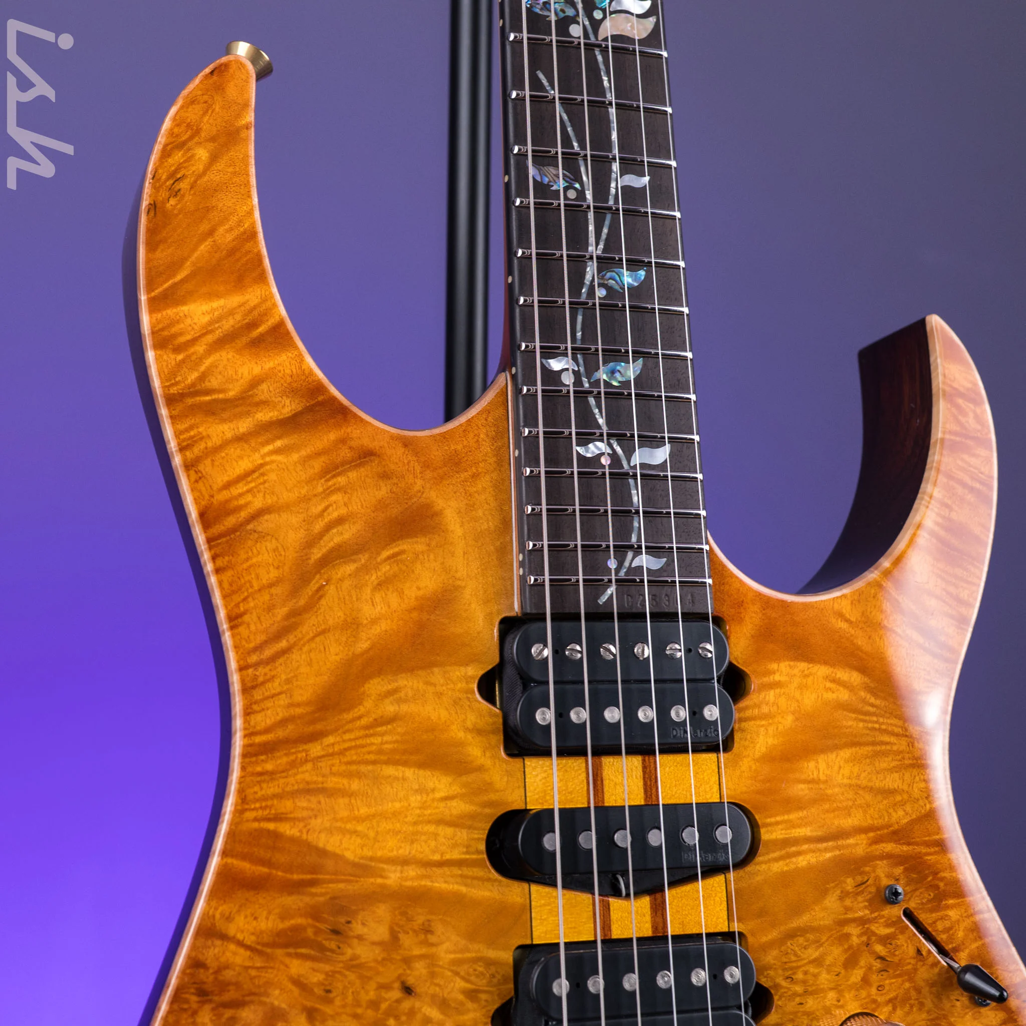 Ibanez Japan Custom Shop Visions IV1RG Electric Guitar - Image 4