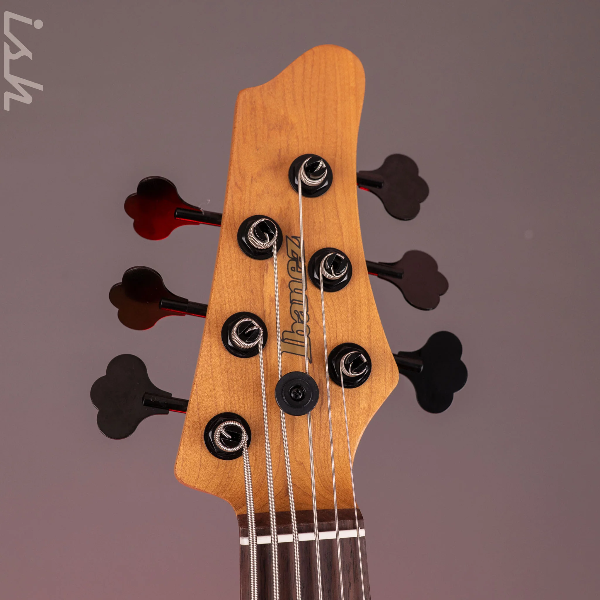 Ibanez Mode MDM1606 6-String Bass Natural Mocha Low Gloss - Image 7