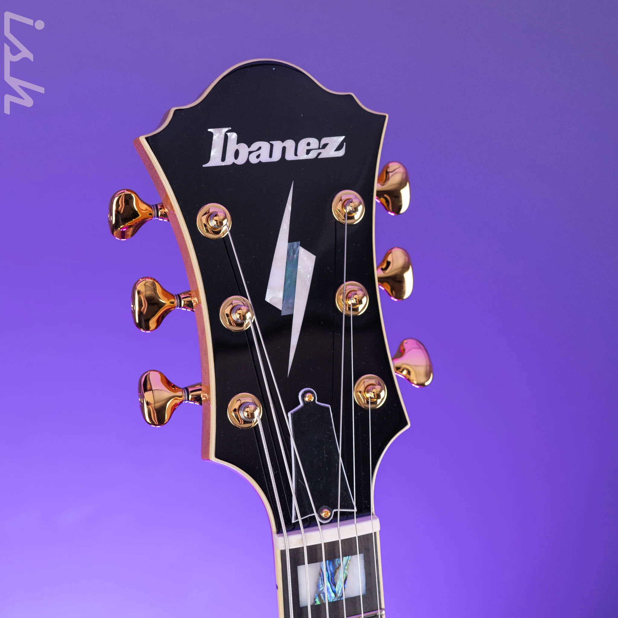 Ibanez PM200 Pat Metheny Signature Hollowbody Natural Demo - Image 5