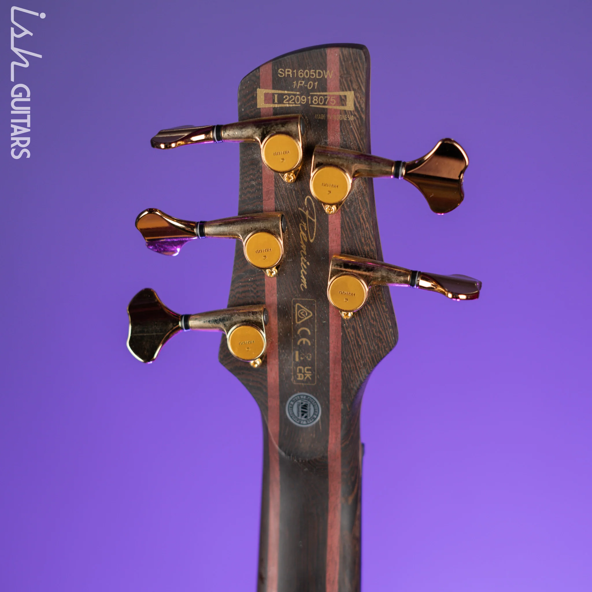 Ibanez Premium SR1605D 5-String Bass Autumn Sunset Sky Demo - Image 10