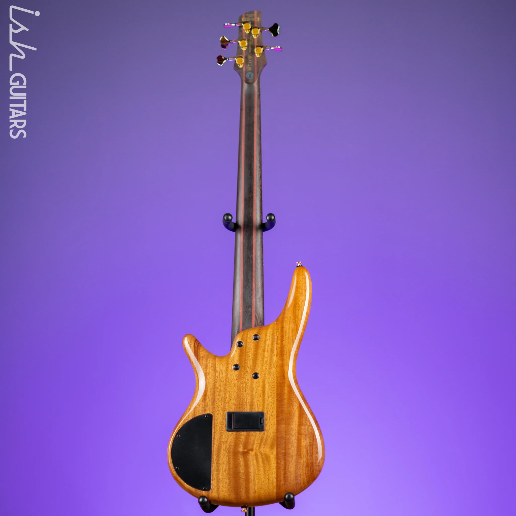 Ibanez Premium SR1605D 5-String Bass Autumn Sunset Sky Demo - Image 6