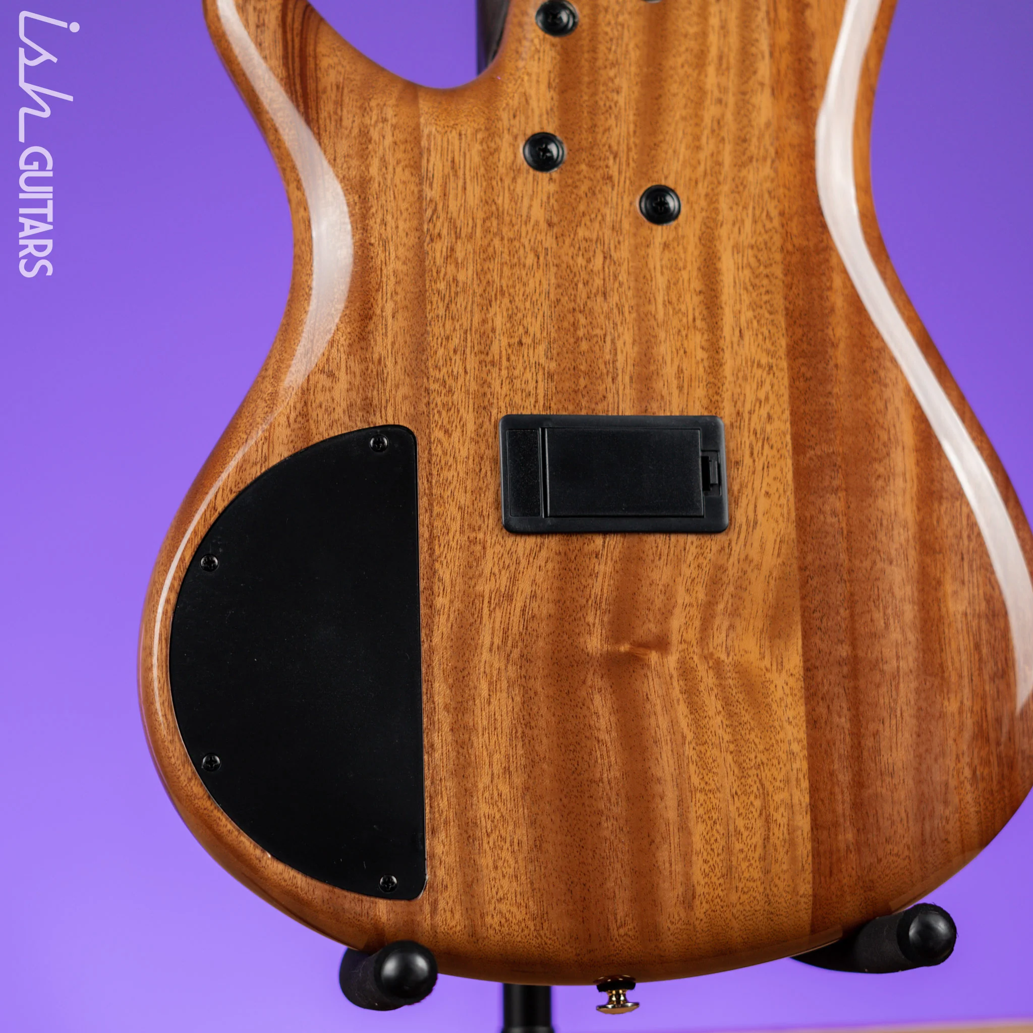 Ibanez Premium SR1605D 5-String Bass Autumn Sunset Sky Demo - Image 9