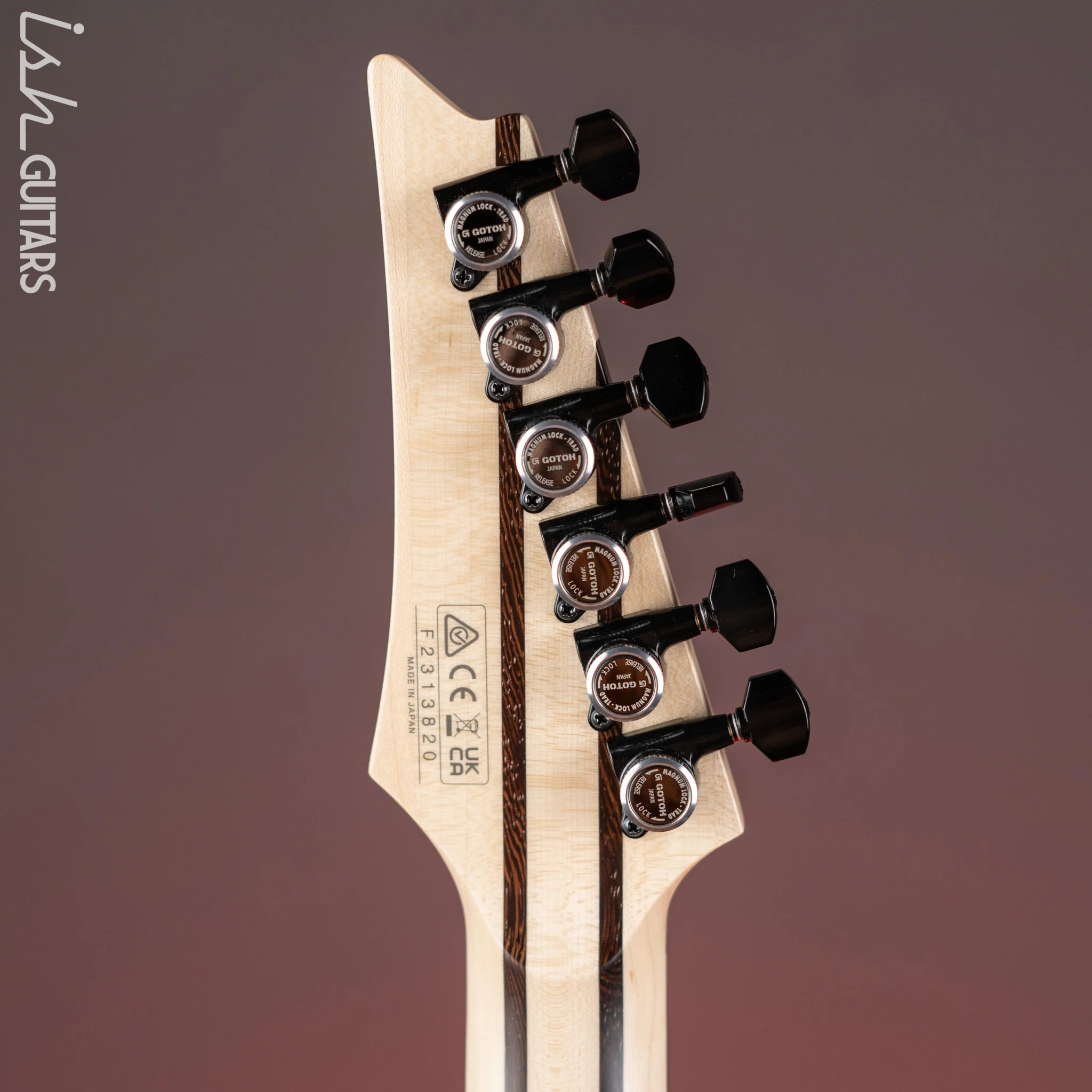 Ibanez RGD3121 Prestige Electric Guitar Polar Lights Flat - Image 10