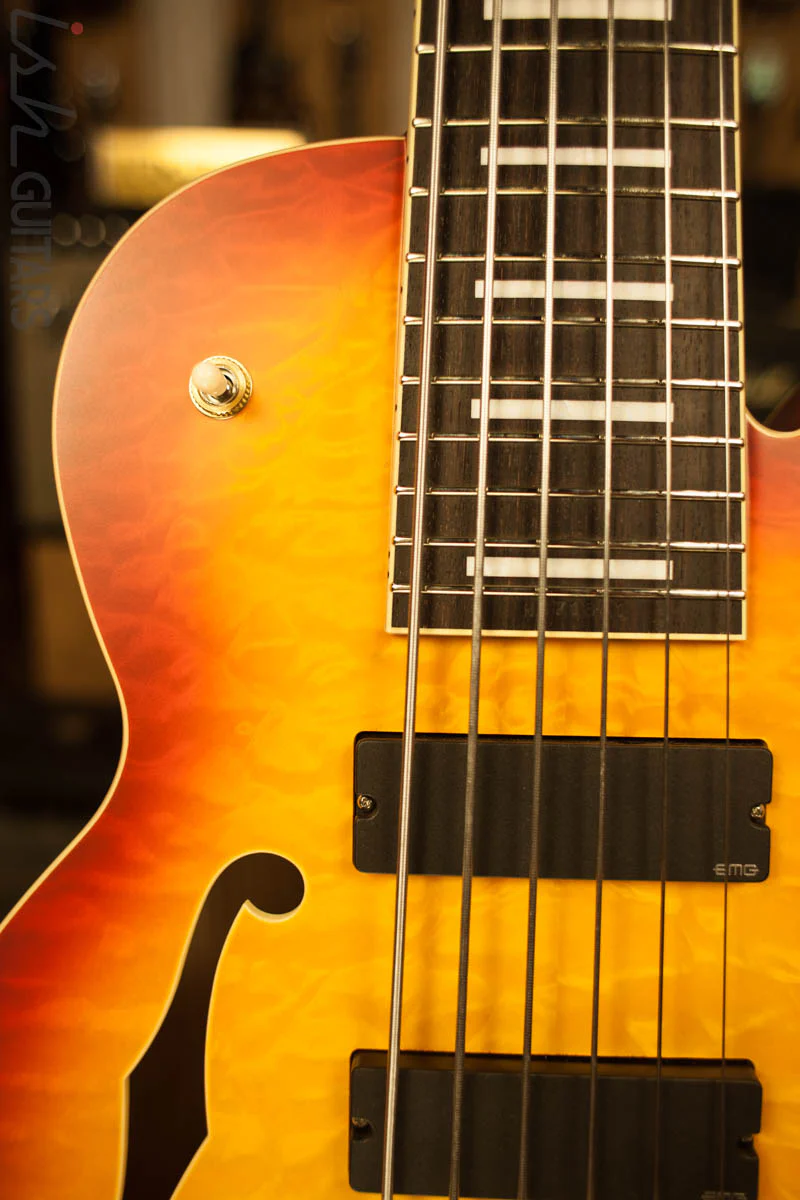 Ibanez TCB1006 Stephen "Thundercat" Bruner Signature Series 6-String Bass Autumn Leaf Burst Matte - Image 3