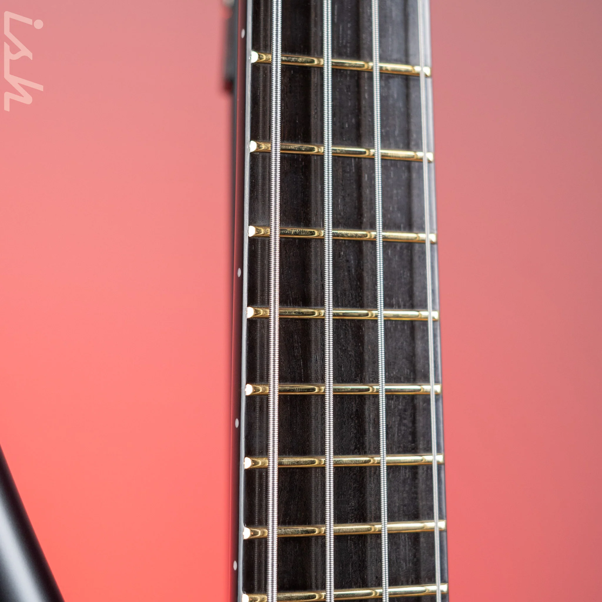 Ish x Warwick Dolphin SN TCS Custom Shop Endangered Species 4-String Bass Black Satin Ebony Fretboard - Image 7