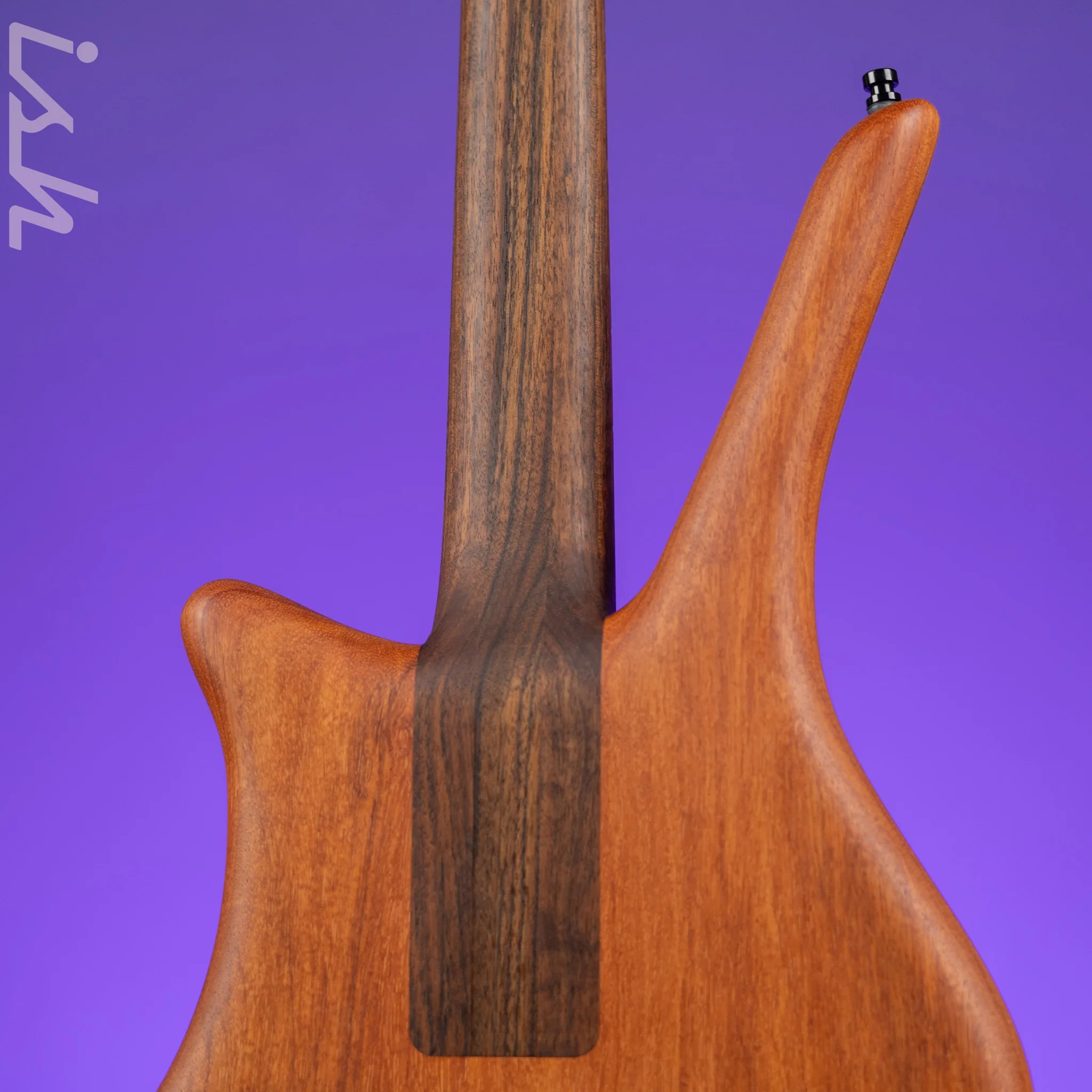 Ish x Warwick Dolphin SN TCS Custom Shop Endangered Species 4-String Bass Wenge Fretboard - Image 8