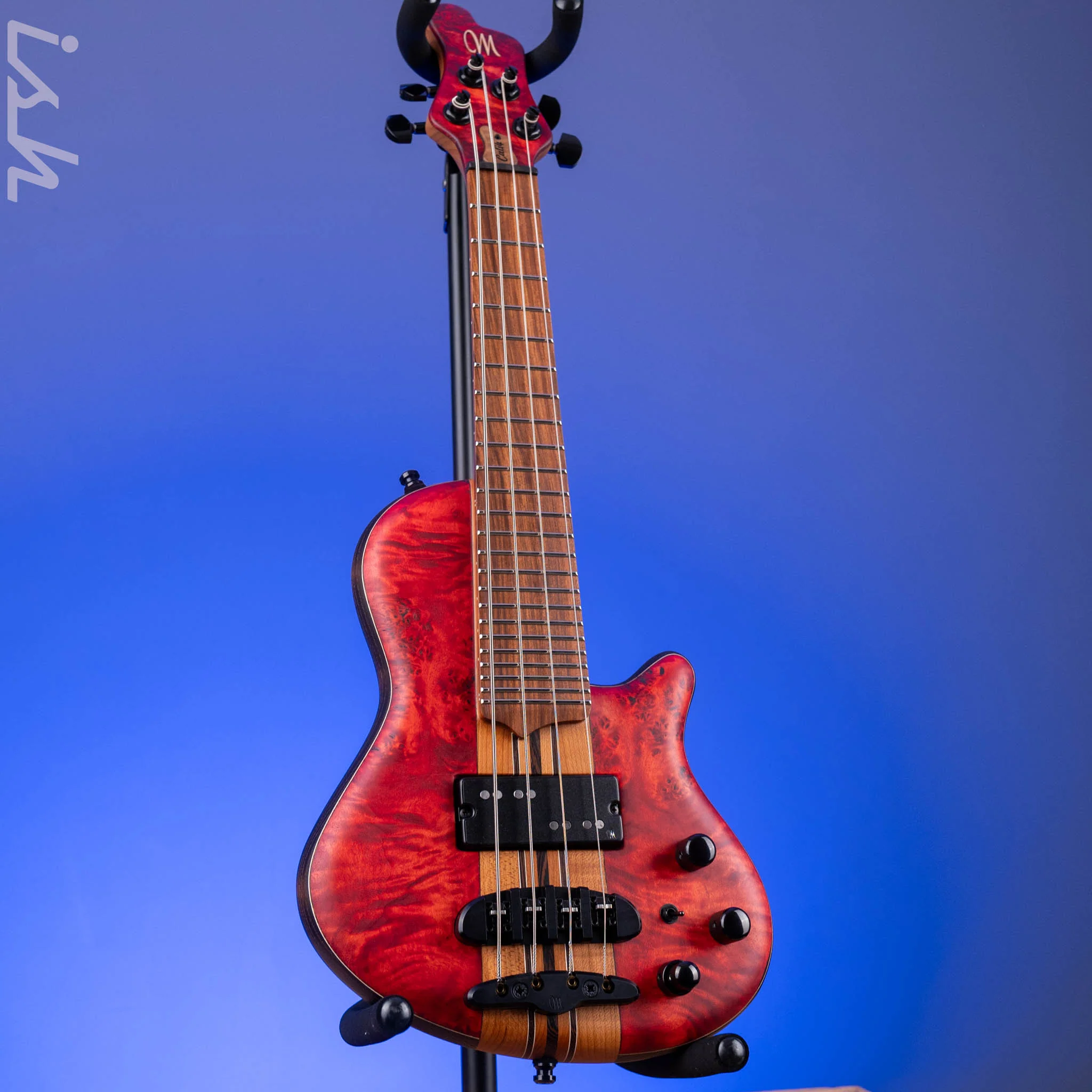 Mayones Cali 4 Mini Bass Eye Poplar - Image 2